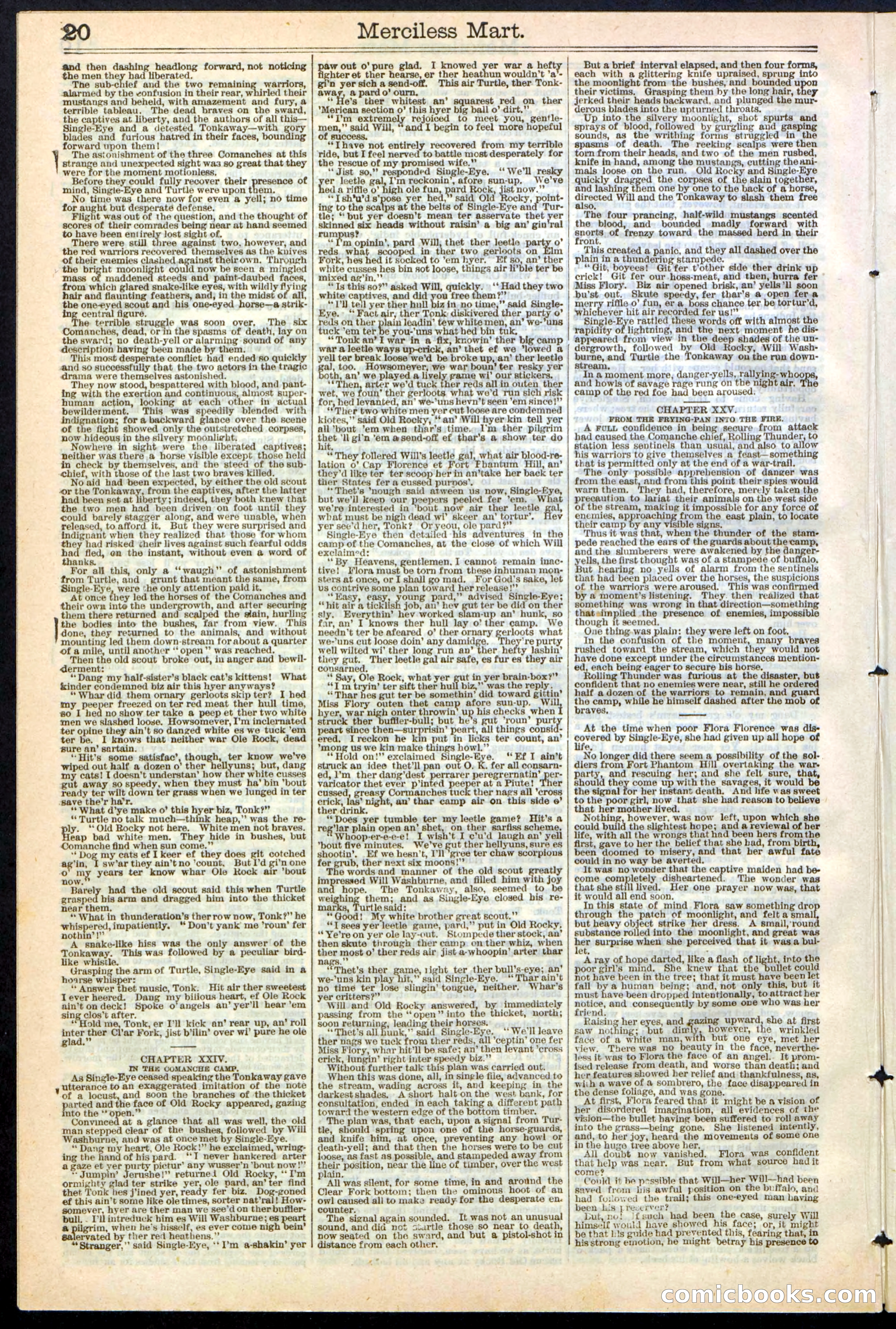Beadle's New York Dime Library, No. 244 — page 20 of 24