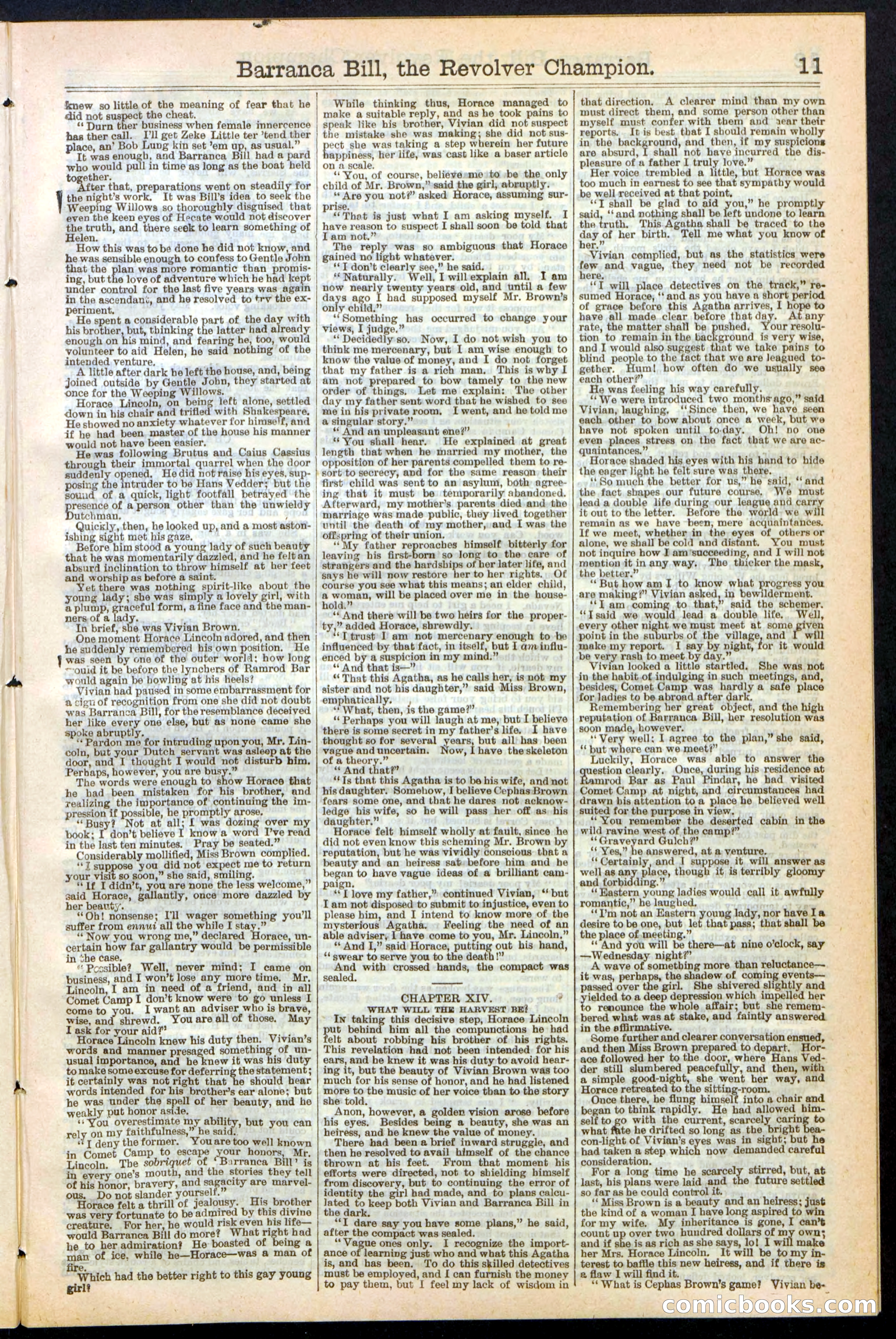 Beadle's New York Dime Library No. 245 — page 11 of 32