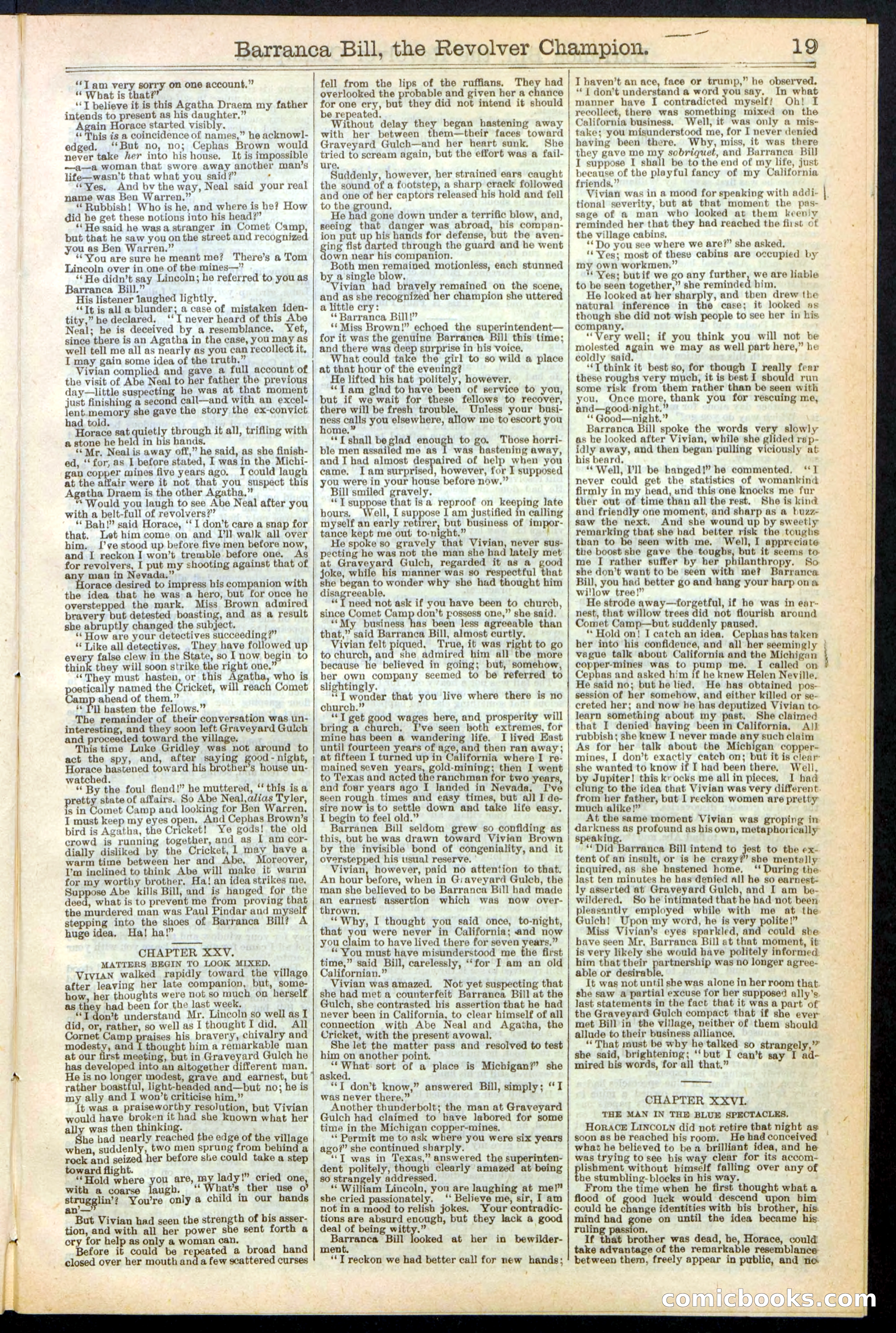Beadle's New York Dime Library No. 245 — page 19 of 32
