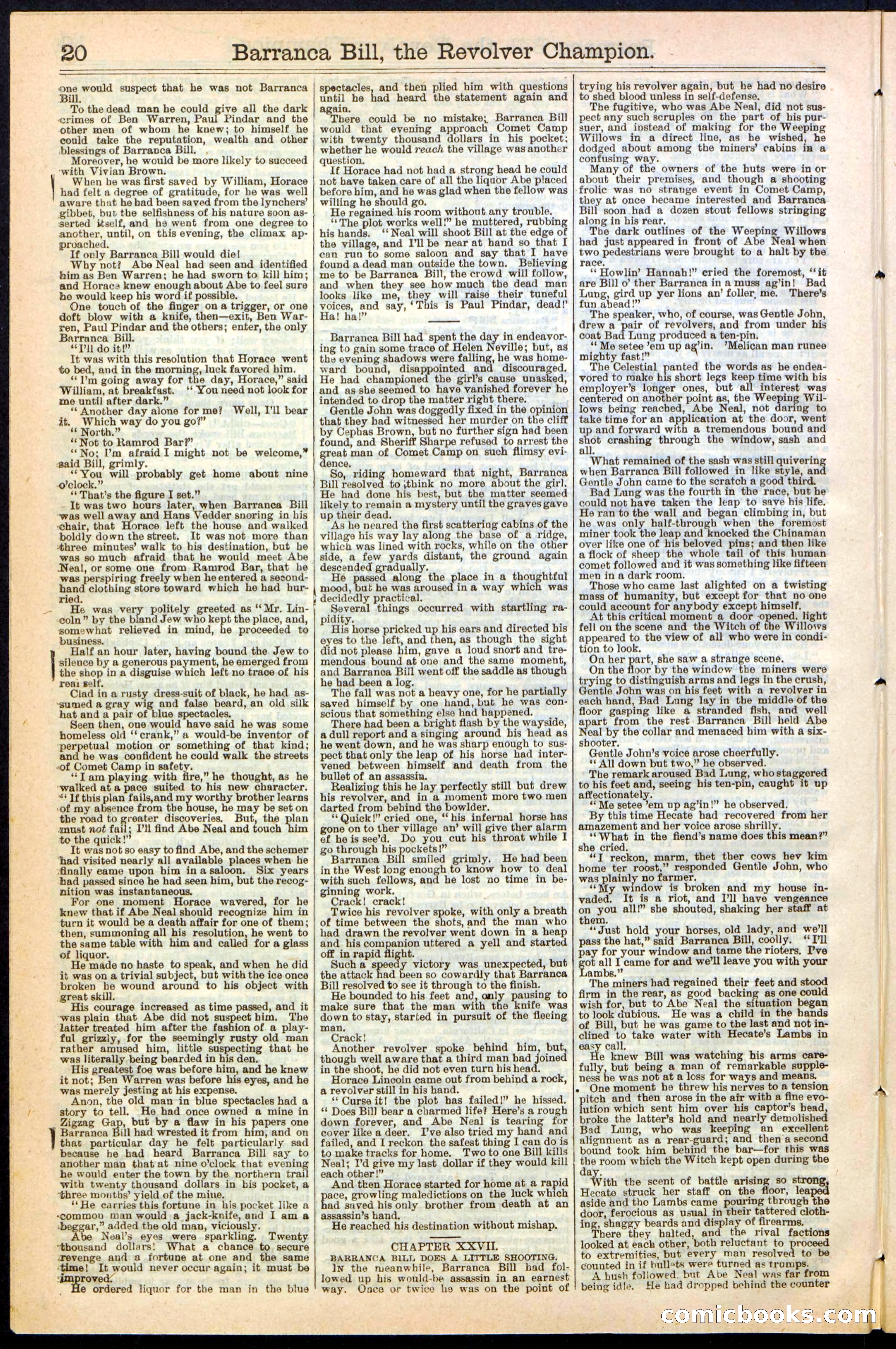 Beadle's New York Dime Library No. 245 — page 20 of 32