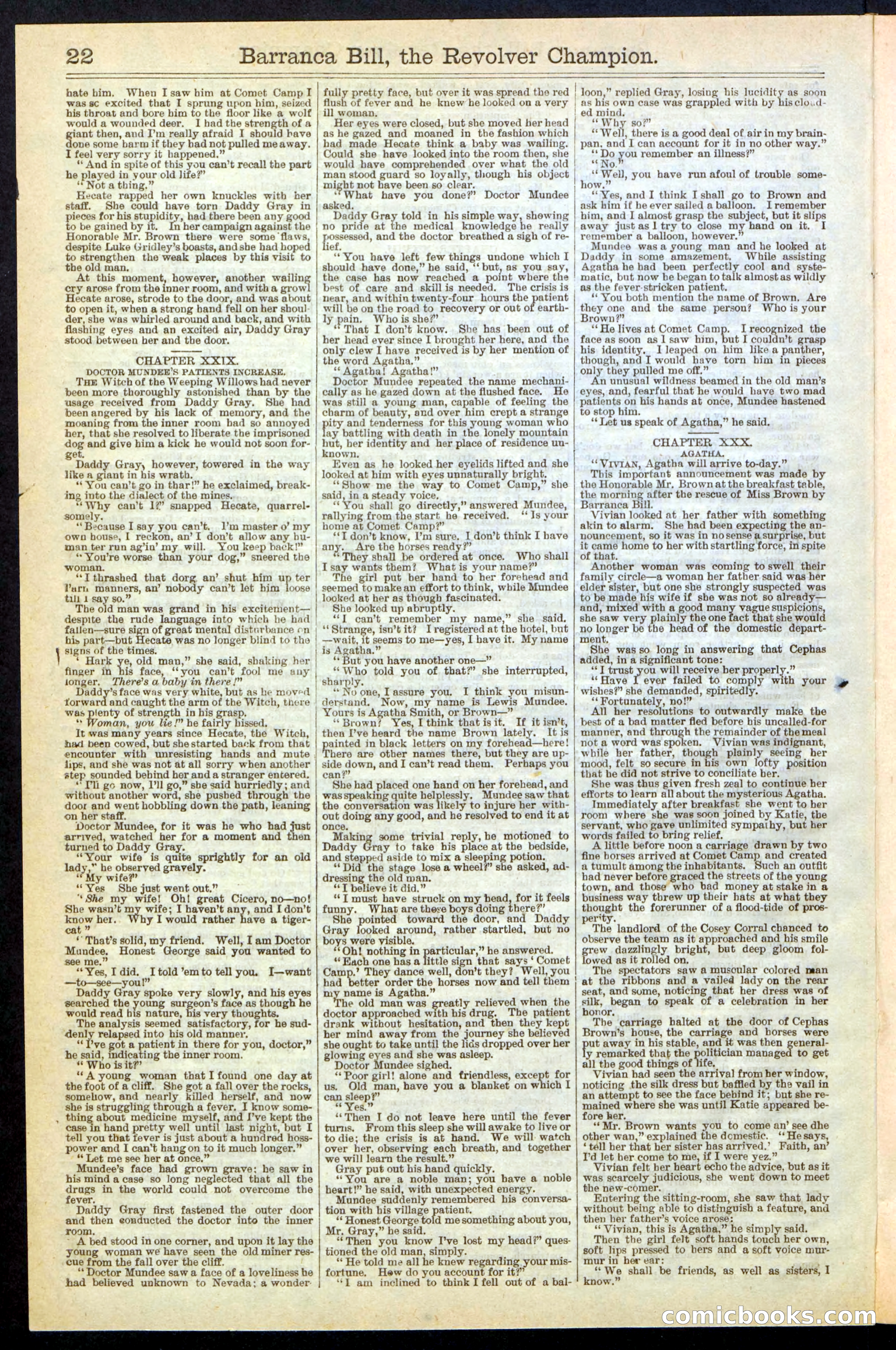 Beadle's New York Dime Library No. 245 — page 22 of 32