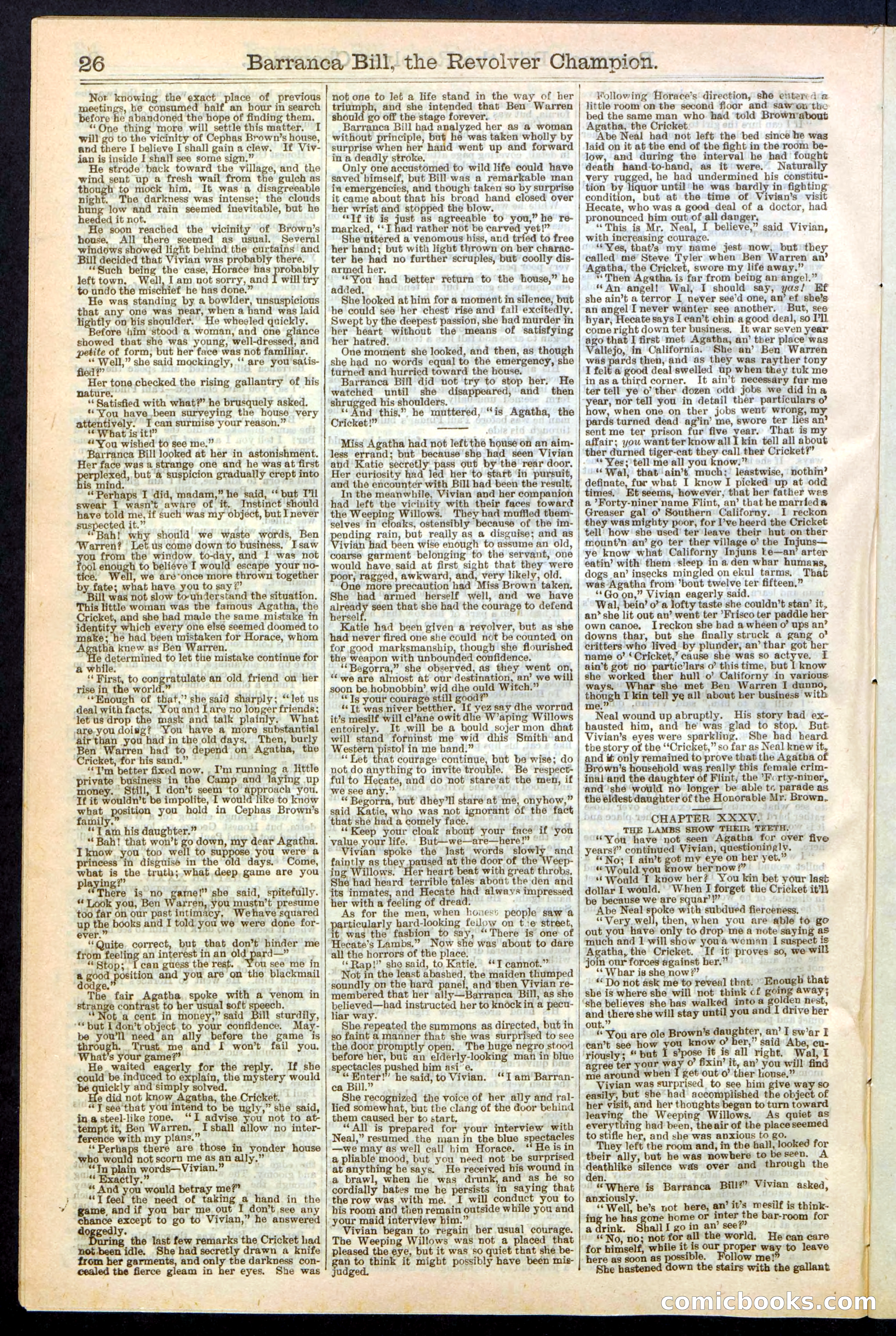 Beadle's New York Dime Library No. 245 — page 26 of 32