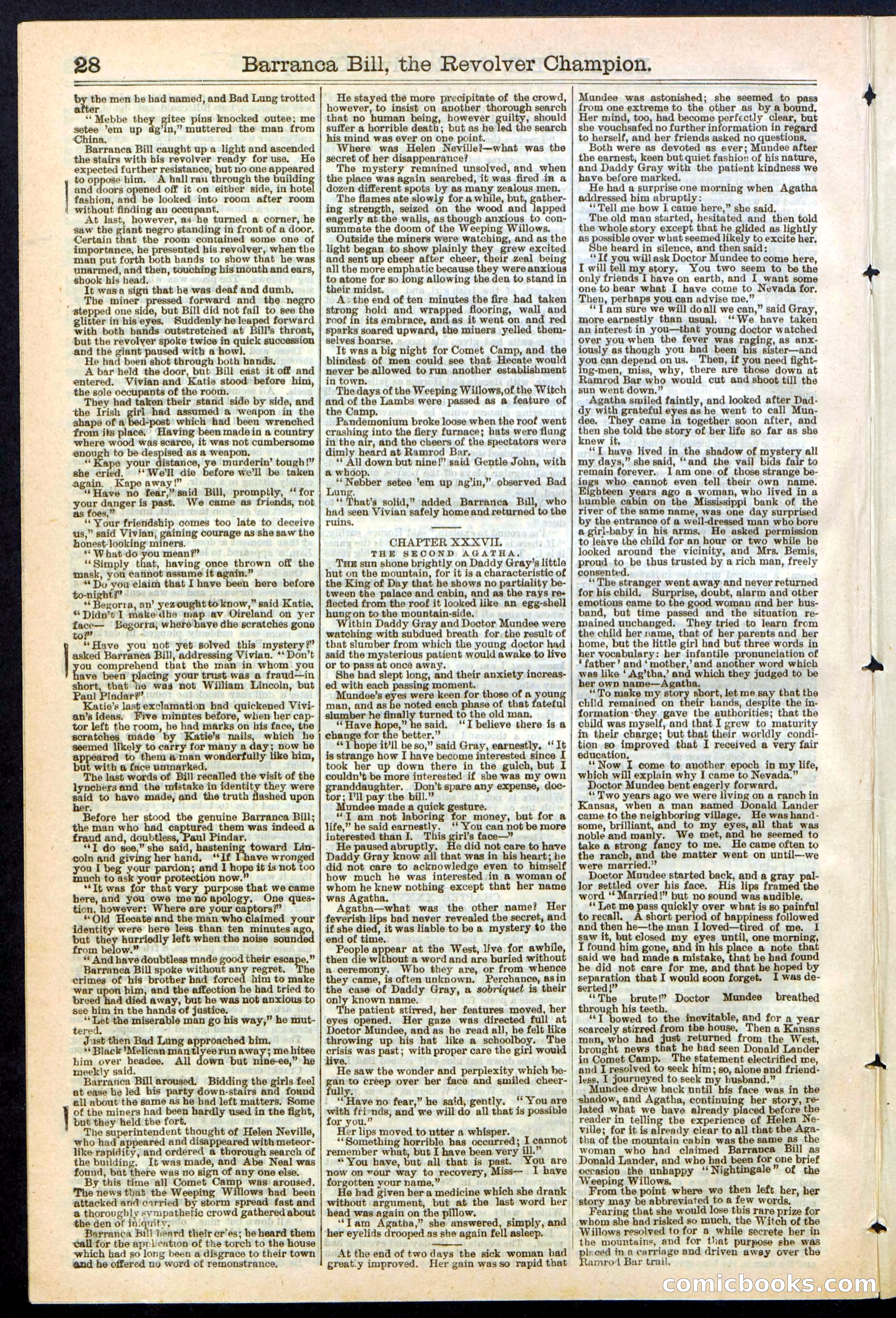 Beadle's New York Dime Library No. 245 — page 28 of 32
