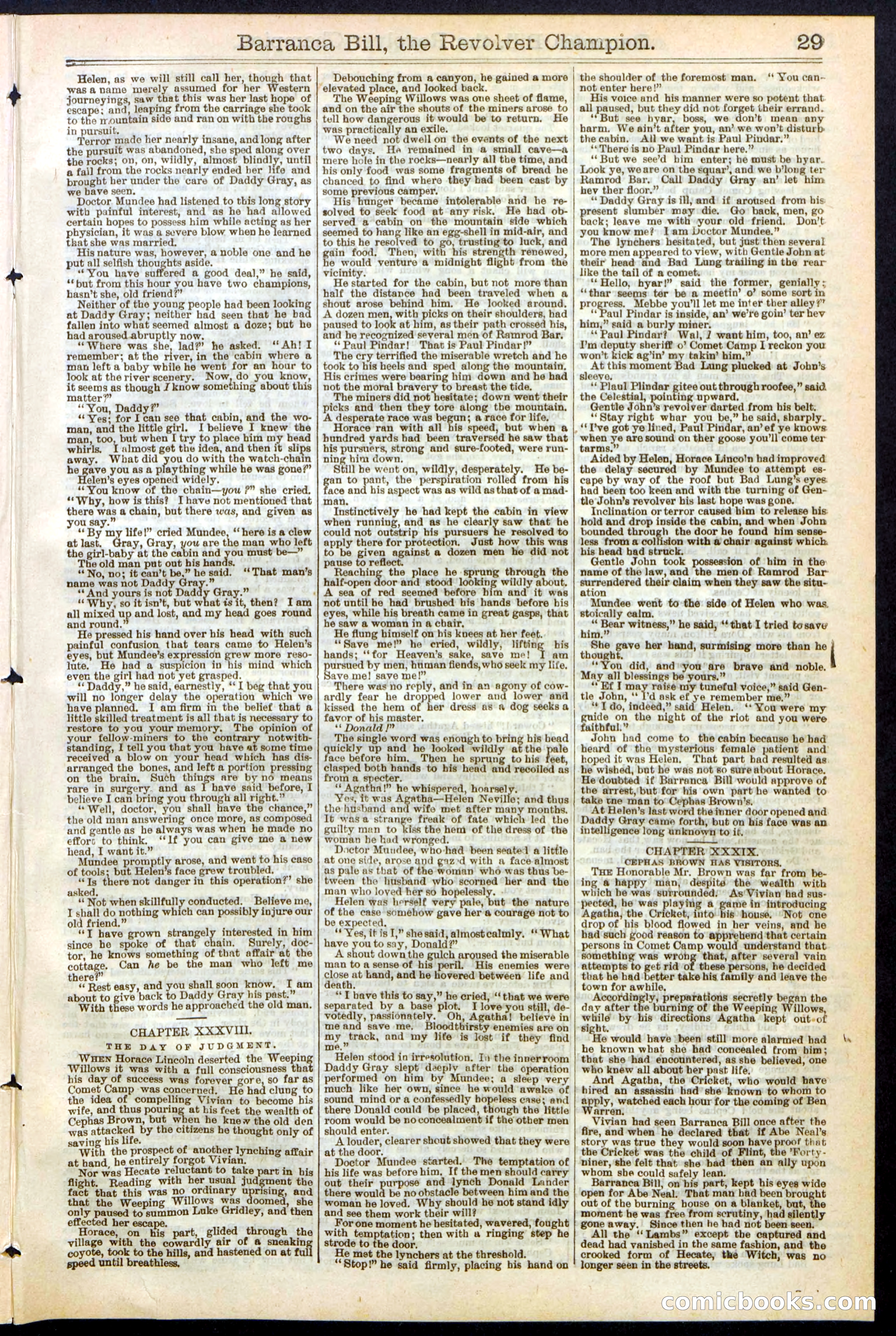 Beadle's New York Dime Library No. 245 — page 29 of 32