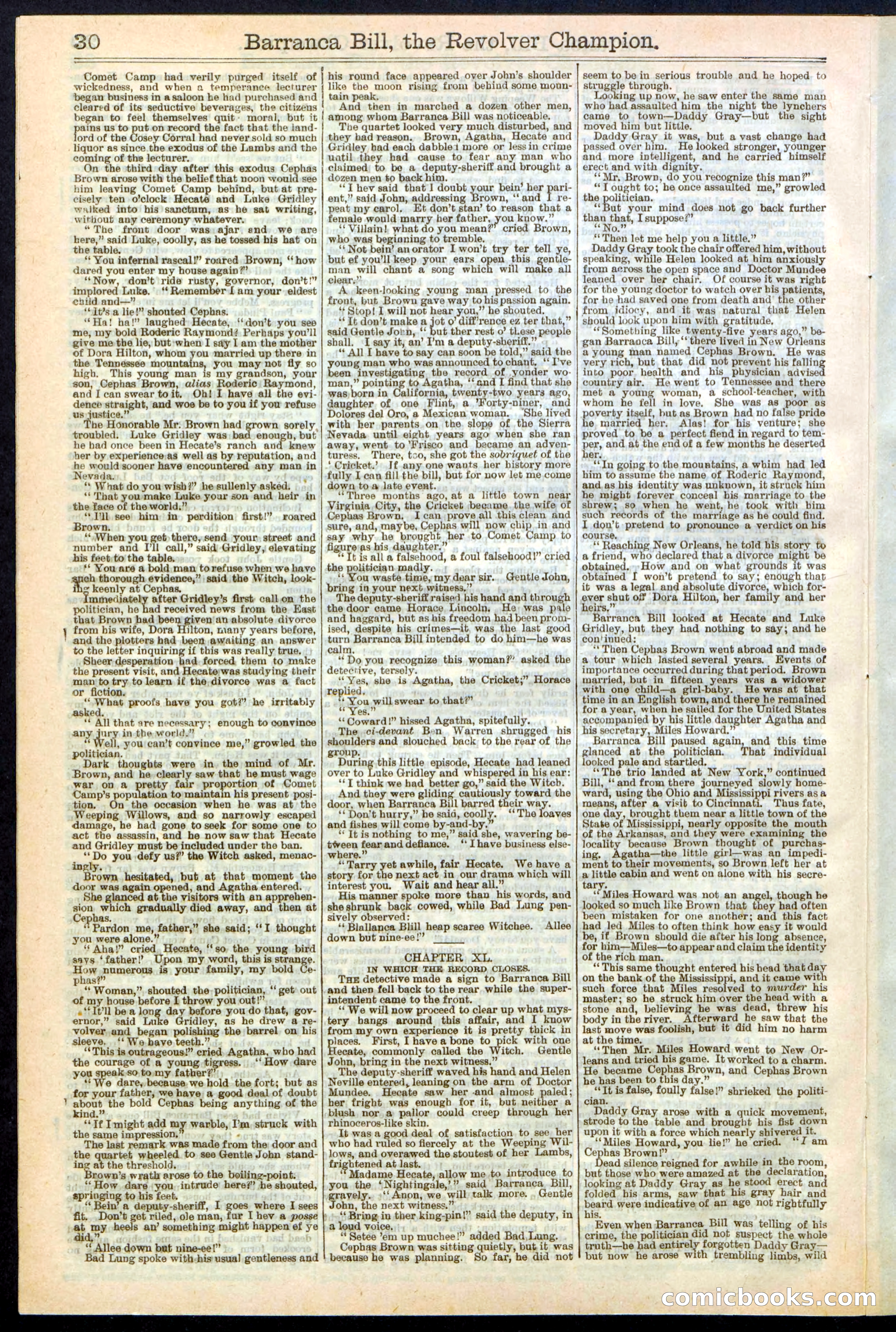 Beadle's New York Dime Library No. 245 — page 30 of 32