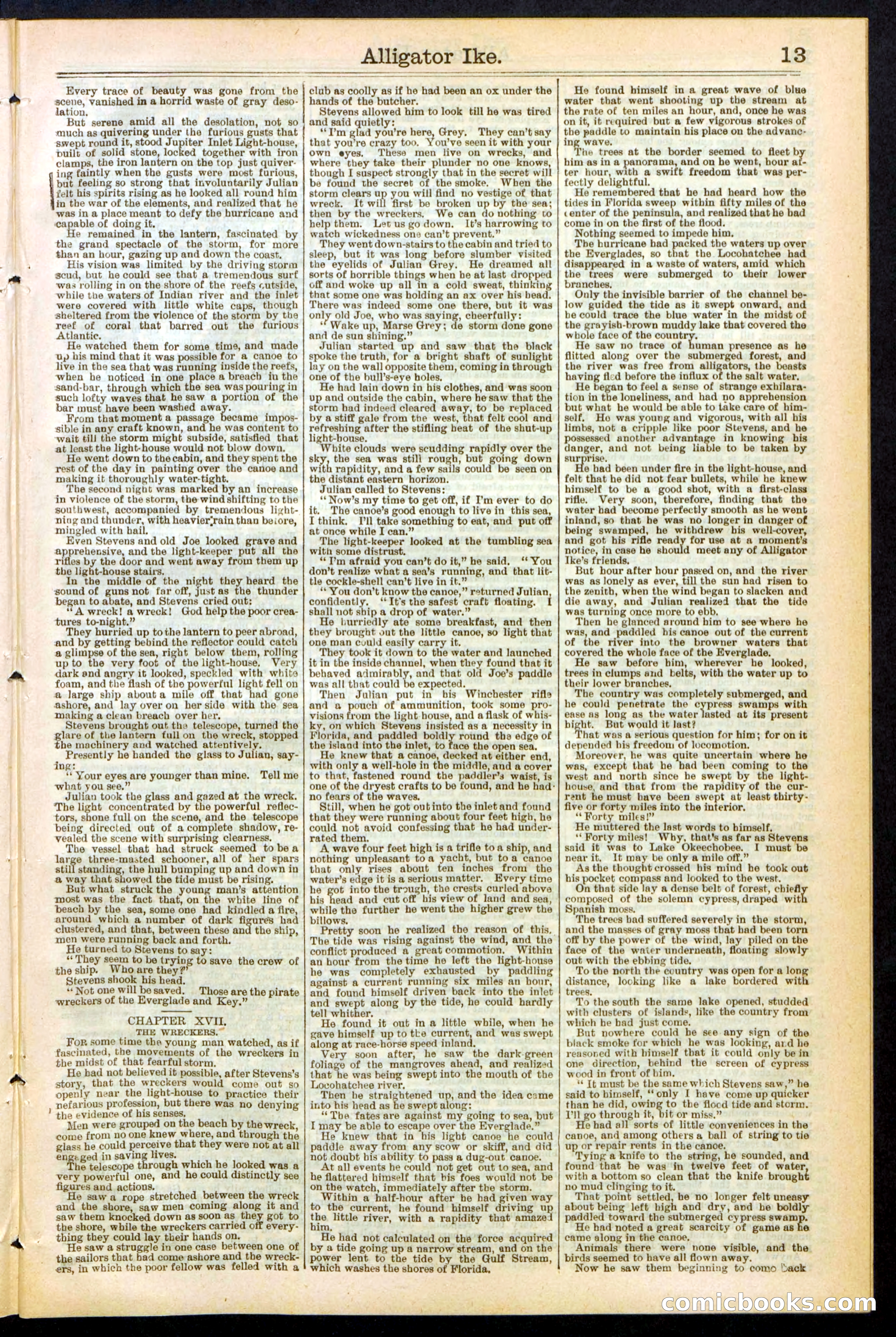 Beadle's Dime Library No. 247 — page 13 of 32