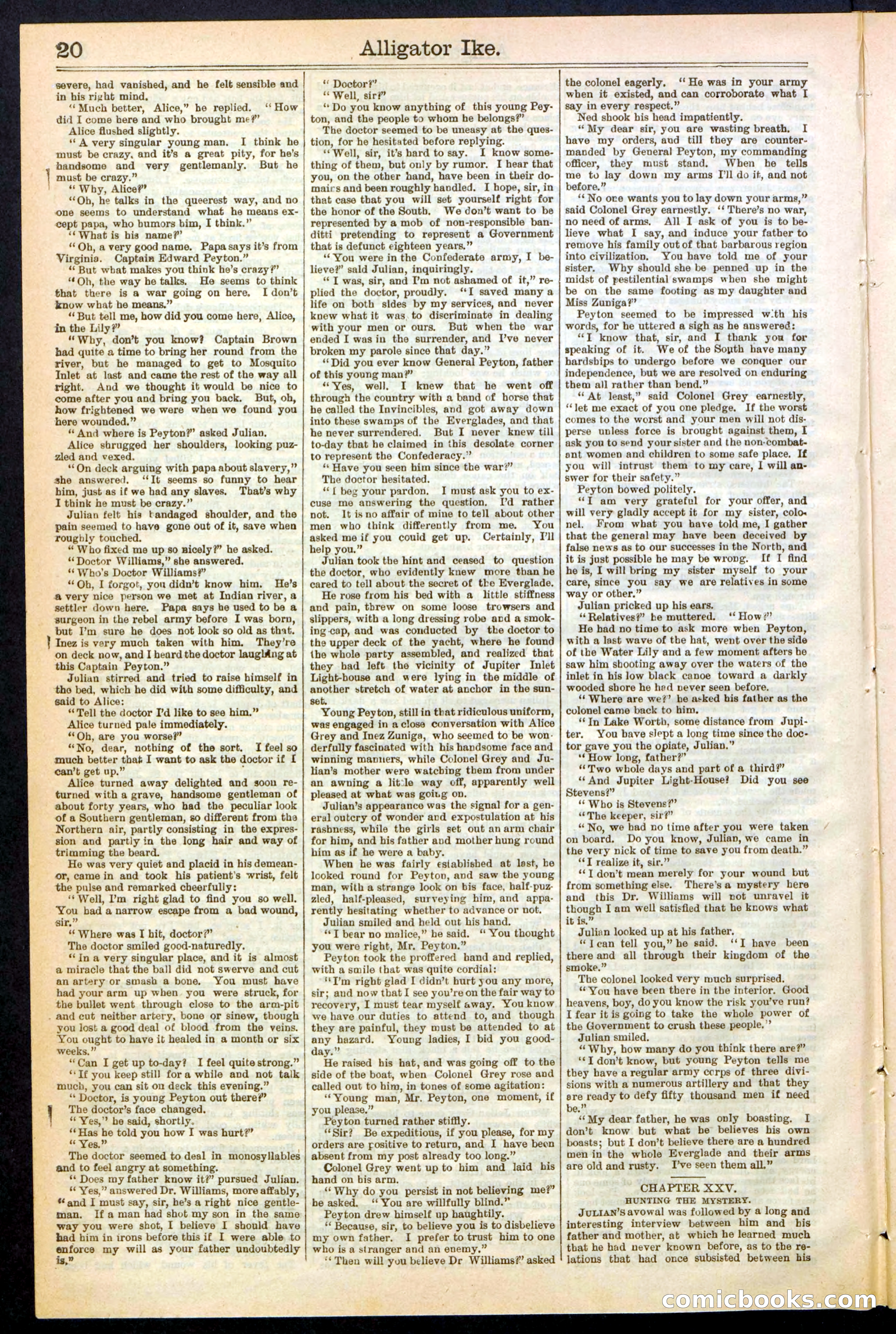 Beadle's Dime Library No. 247 — page 20 of 32
