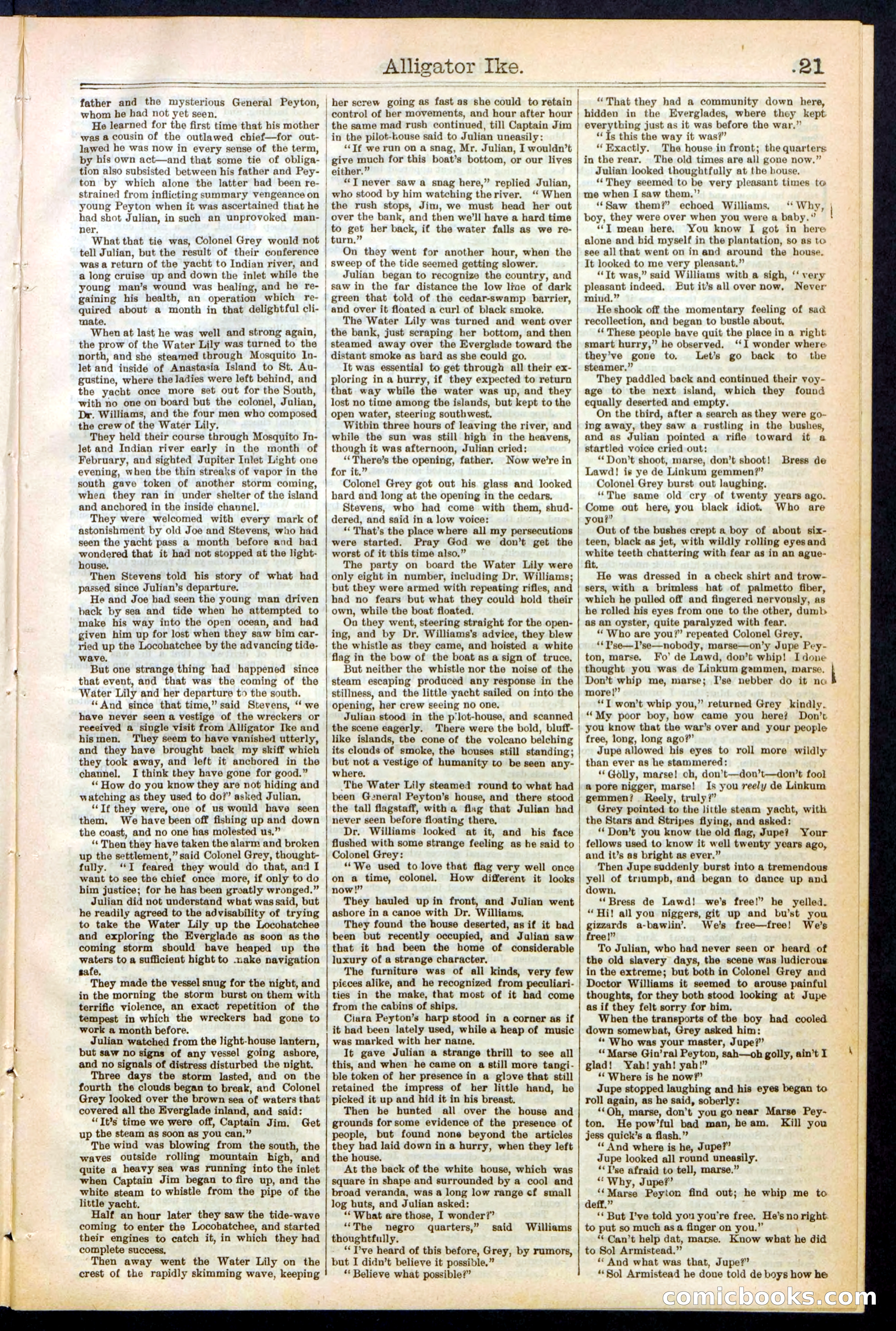 Beadle's Dime Library No. 247 — page 21 of 32