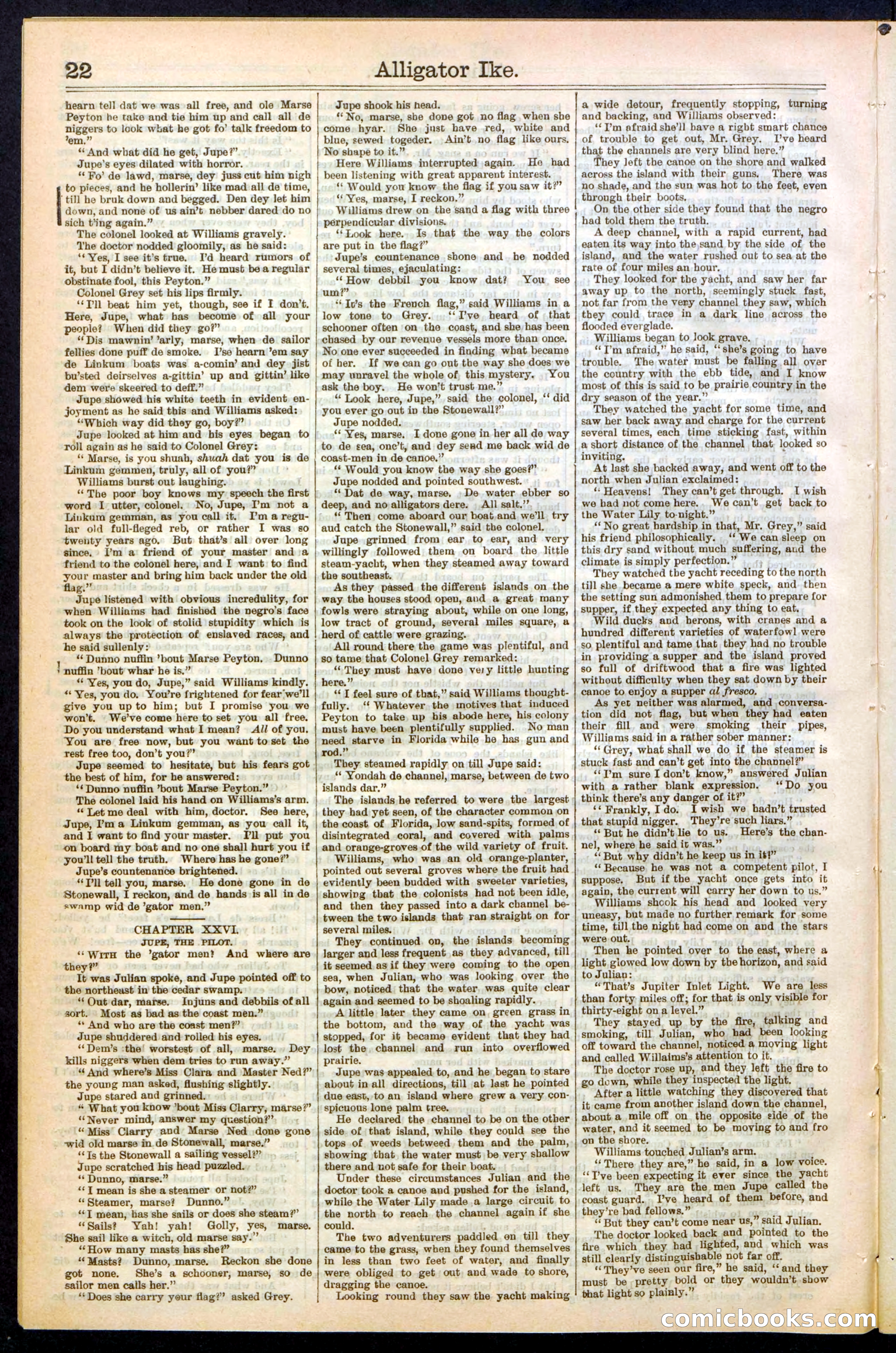 Beadle's Dime Library No. 247 — page 22 of 32