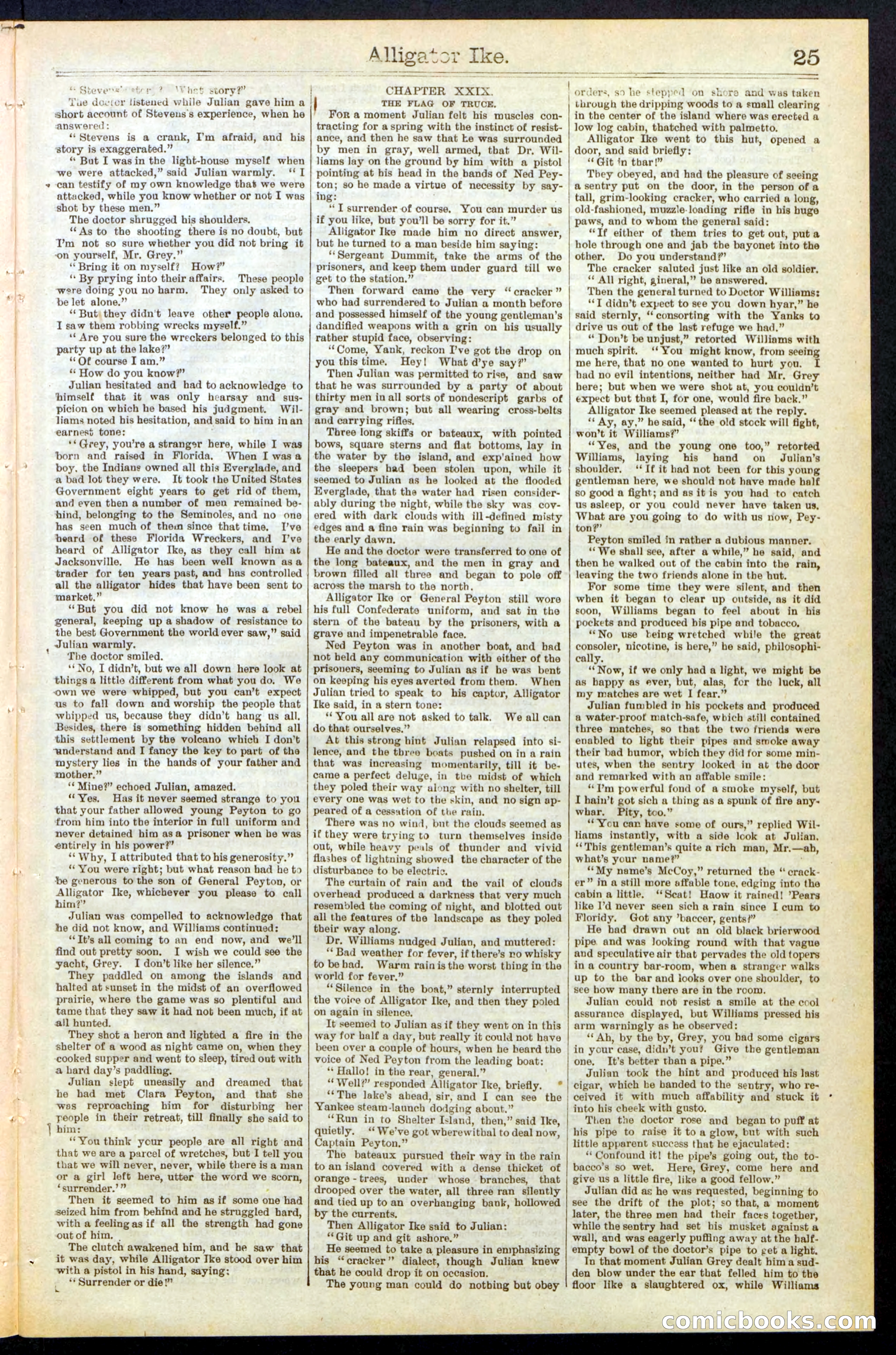 Beadle's Dime Library No. 247 — page 25 of 32