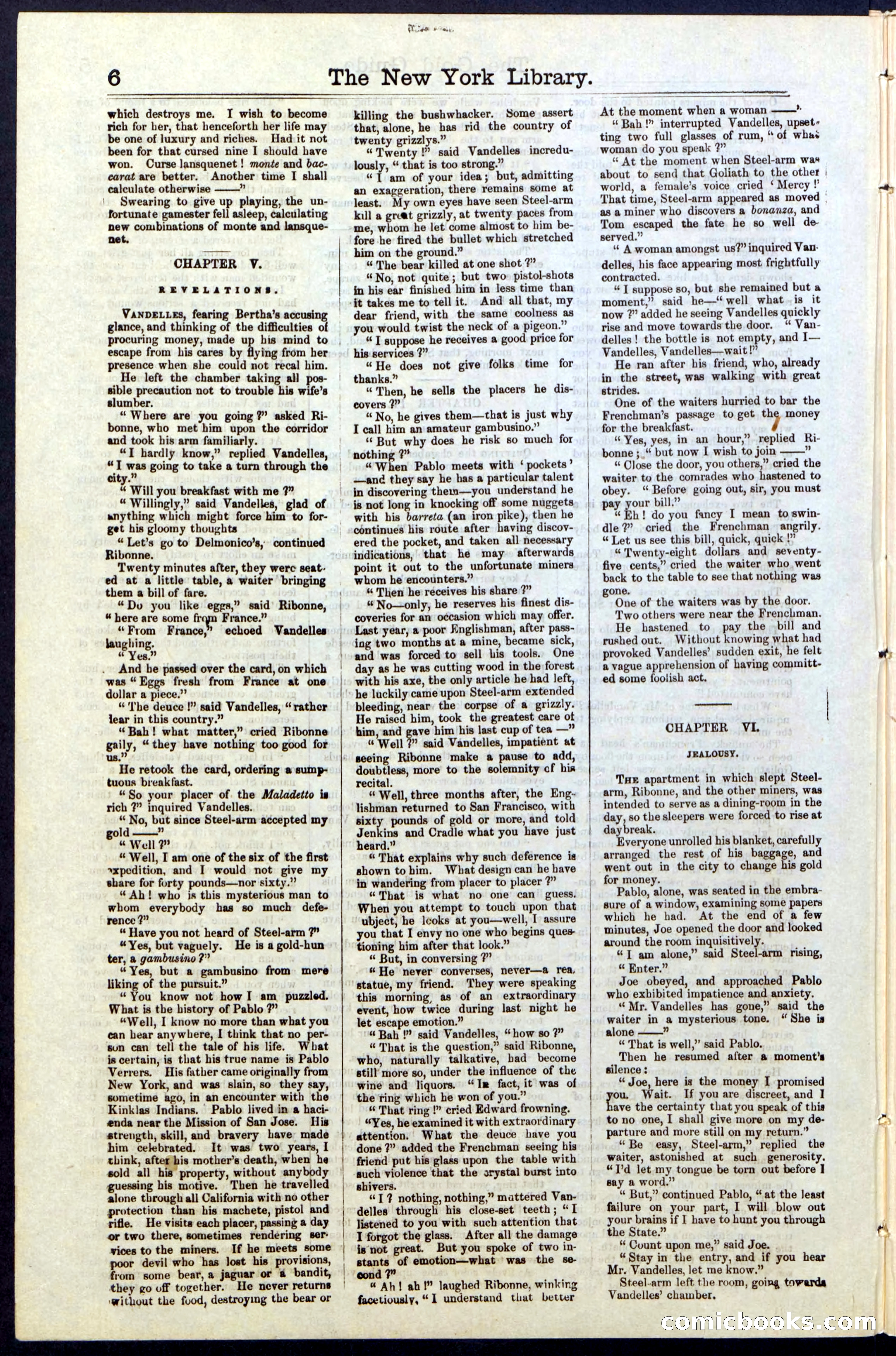Beadle's New York Dime Library, No. 25 — page 6 of 40