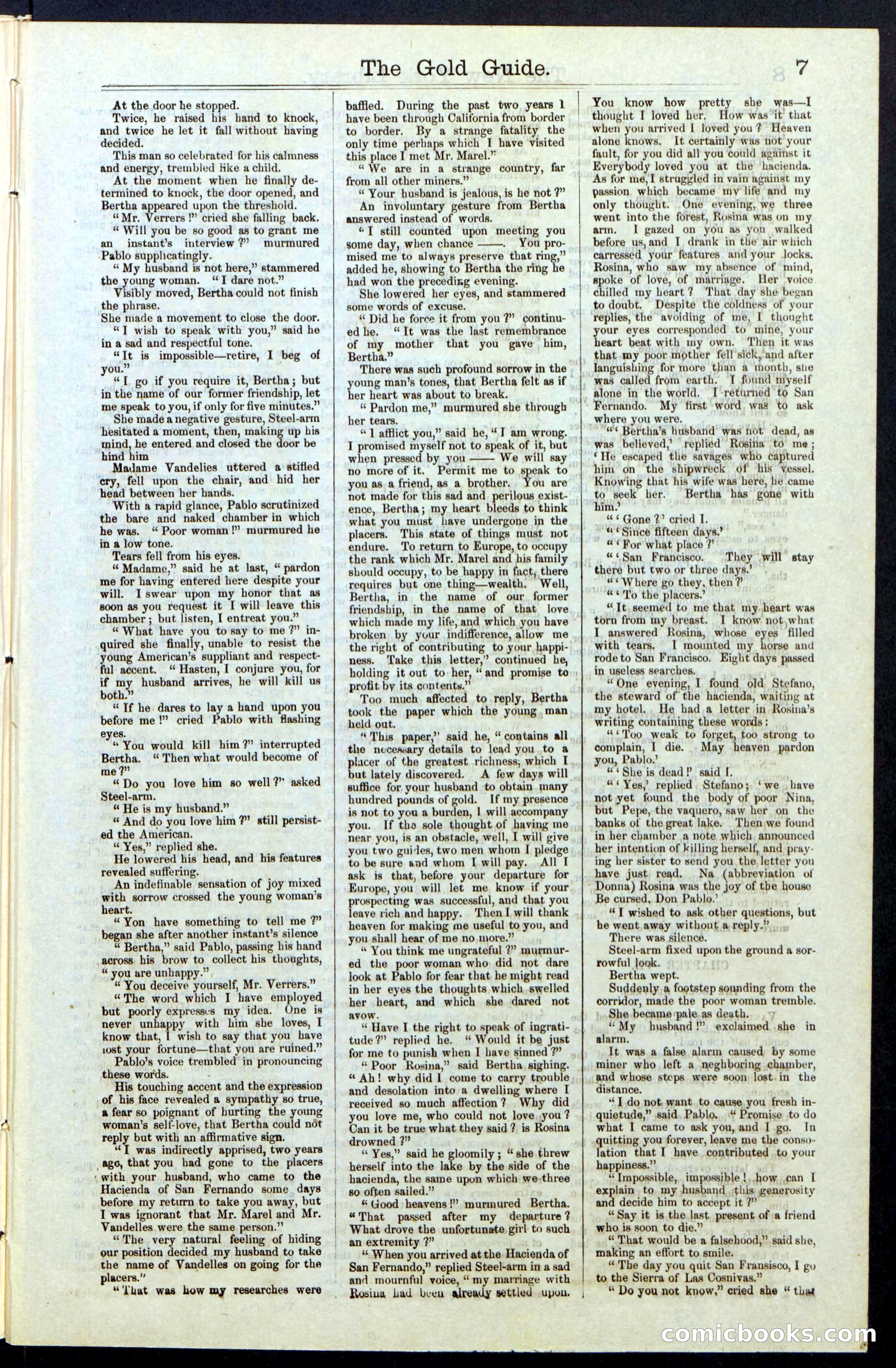 Beadle's New York Dime Library, No. 25 — page 7 of 40