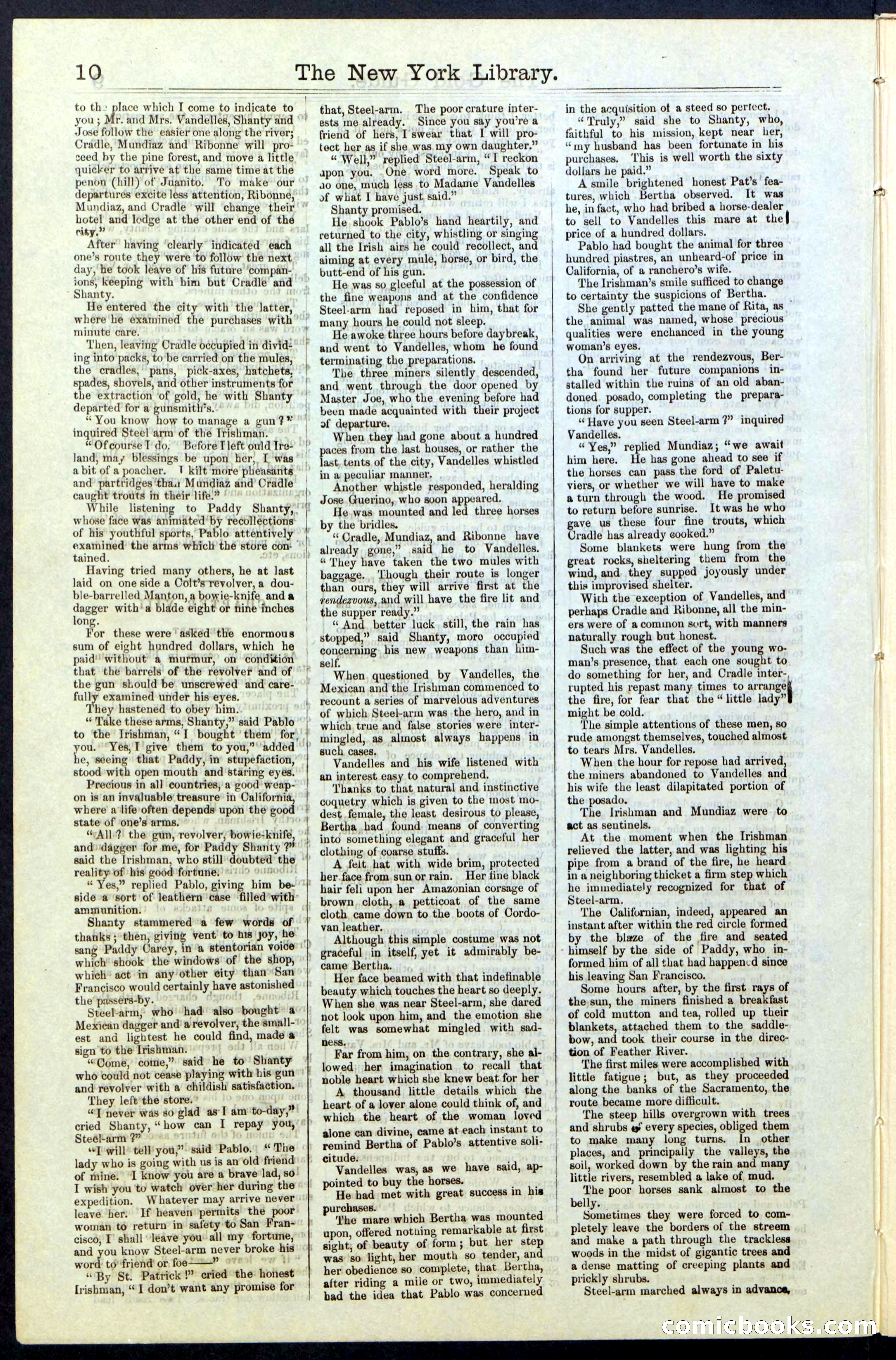 Beadle's New York Dime Library, No. 25 — page 10 of 40