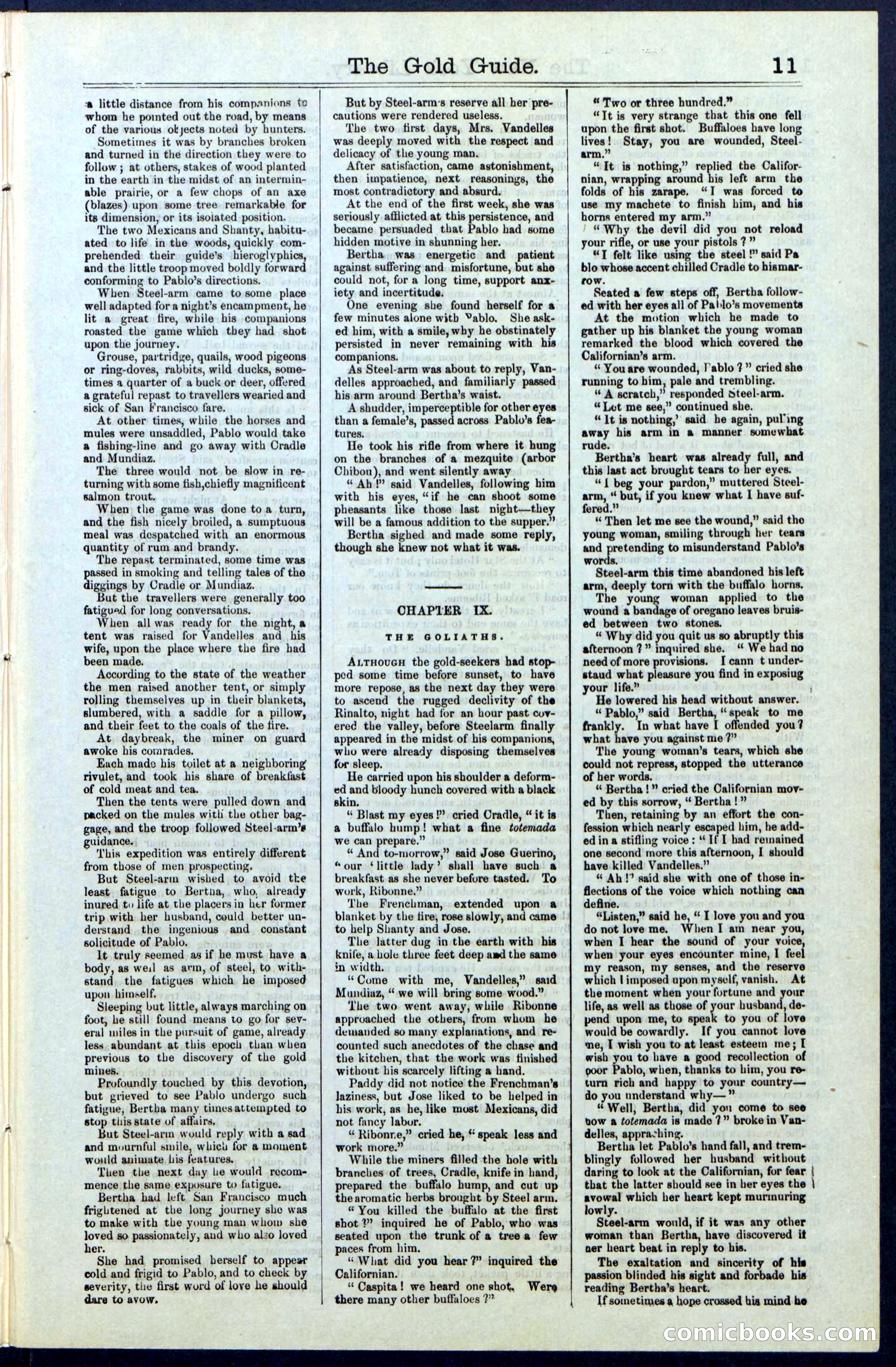 Beadle's New York Dime Library, No. 25 — page 11 of 40