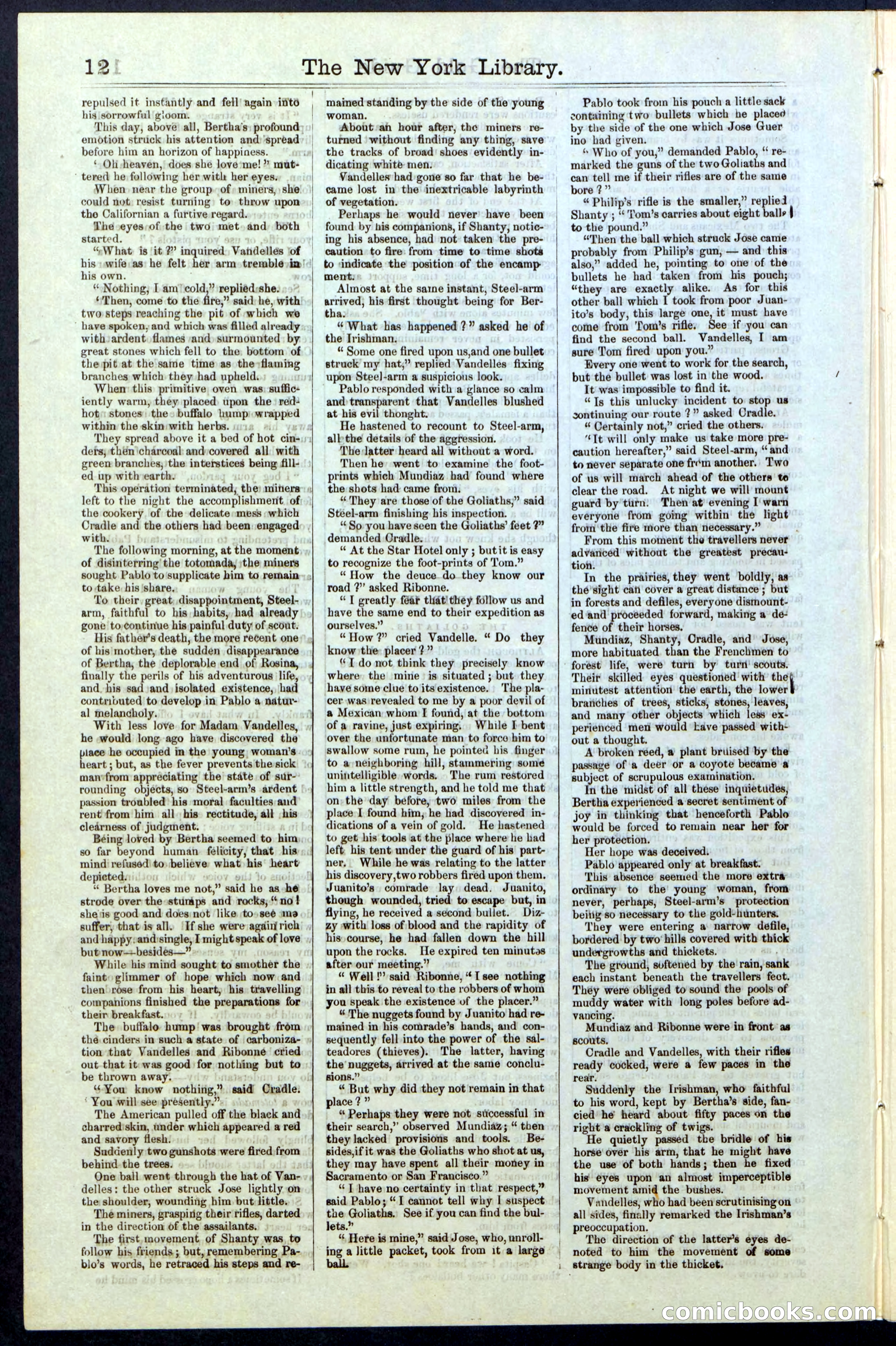 Beadle's New York Dime Library, No. 25 — page 12 of 40