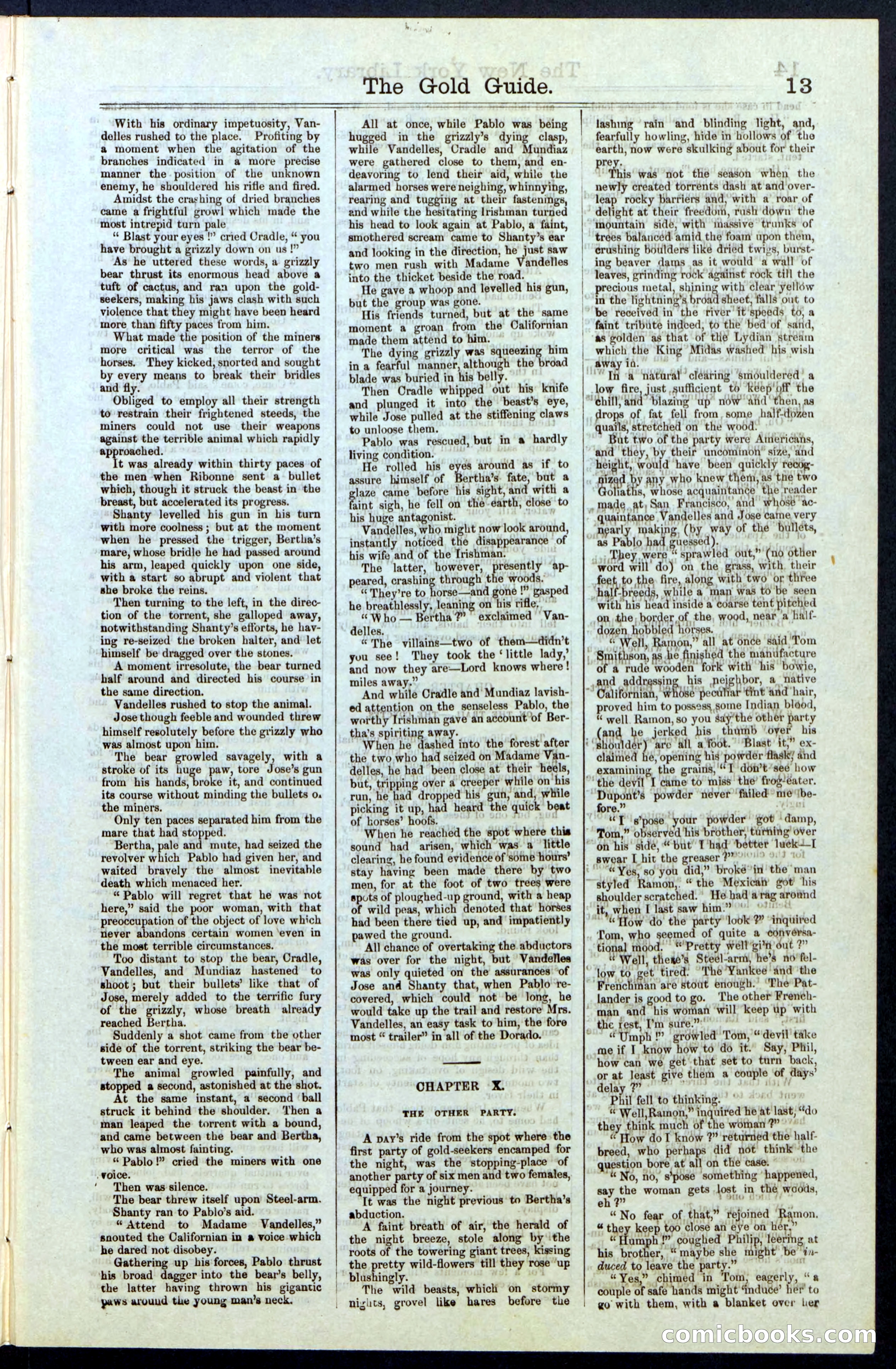 Beadle's New York Dime Library, No. 25 — page 13 of 40