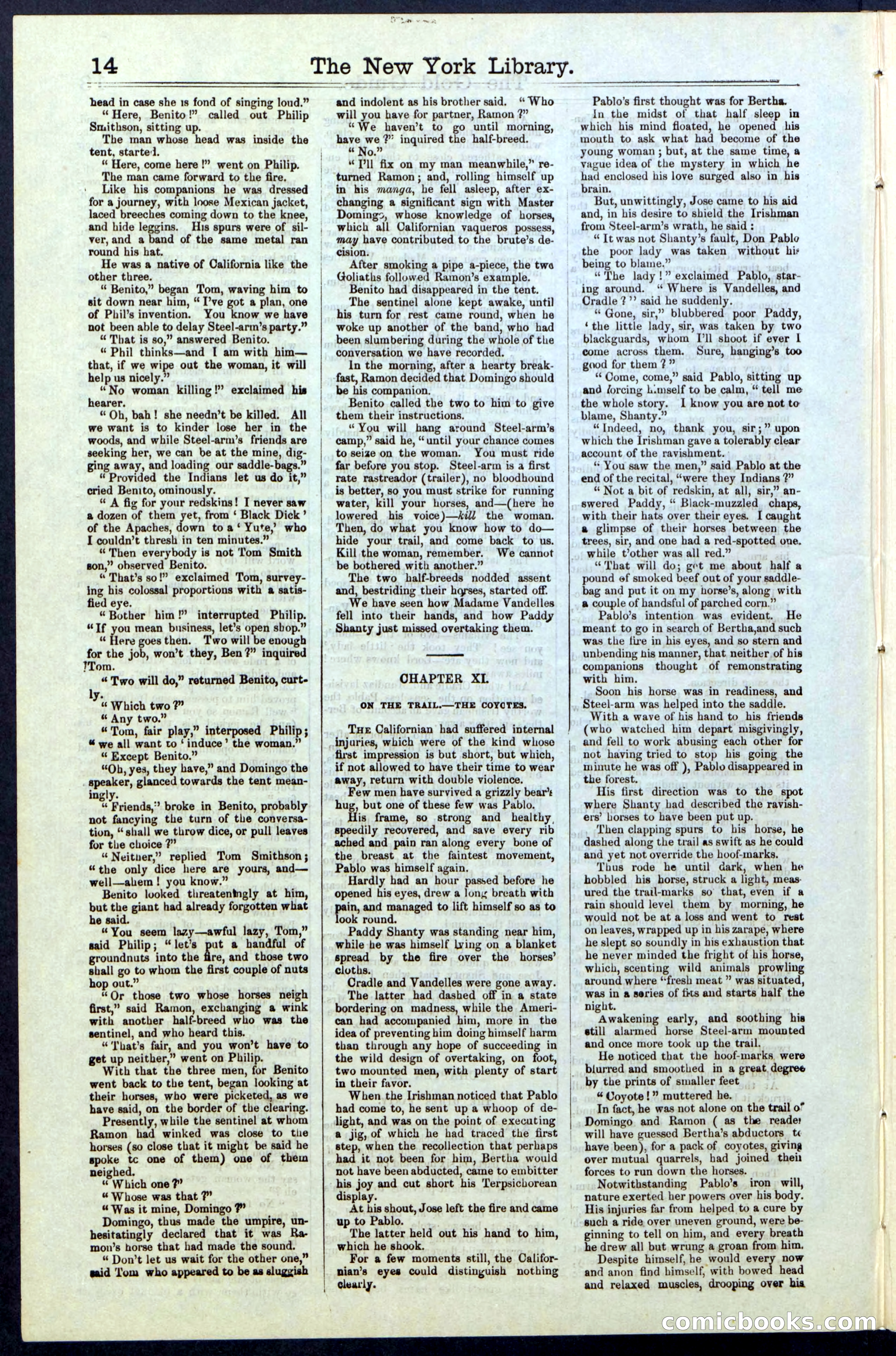 Beadle's New York Dime Library, No. 25 — page 14 of 40