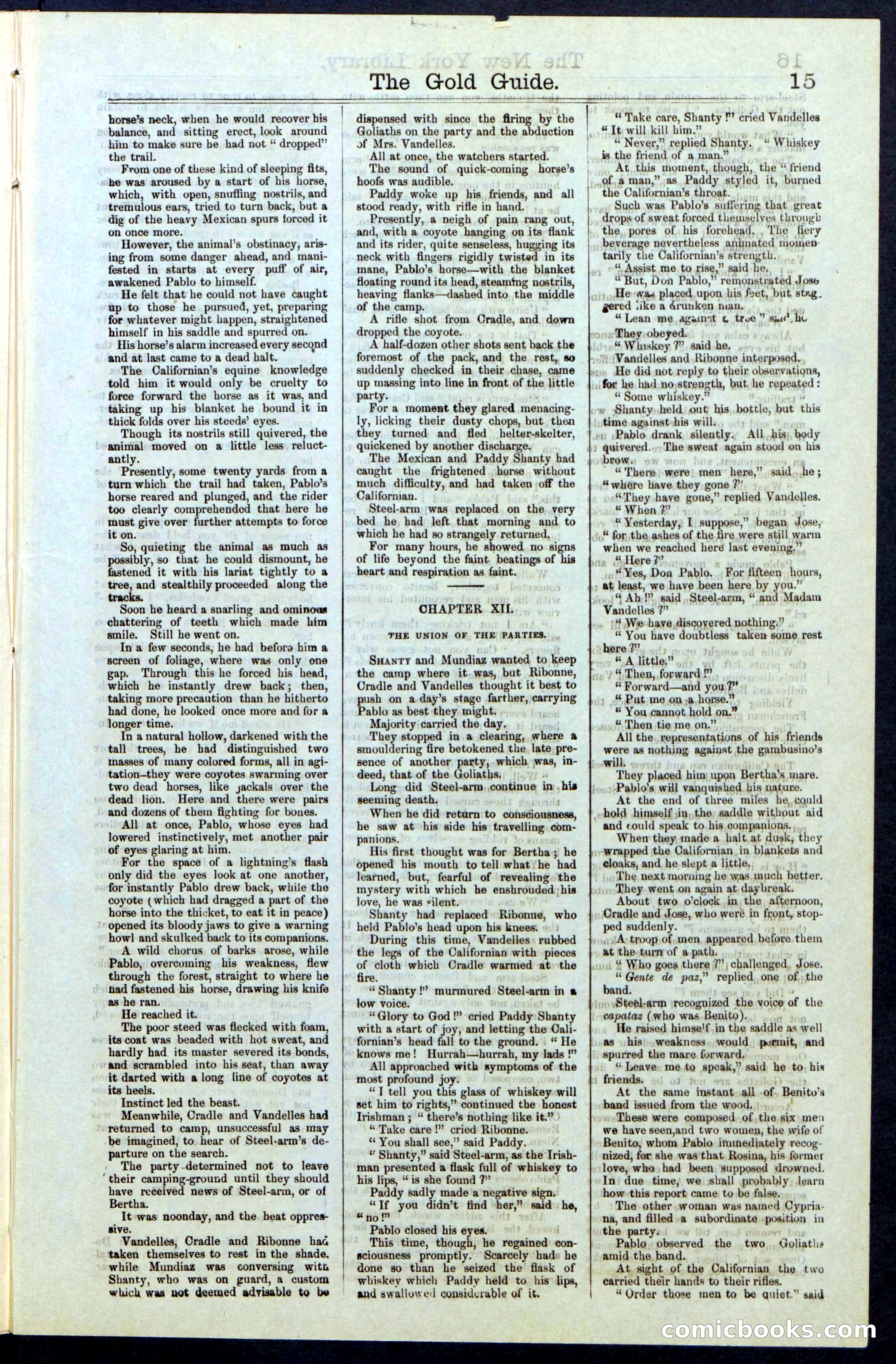 Beadle's New York Dime Library, No. 25 — page 15 of 40
