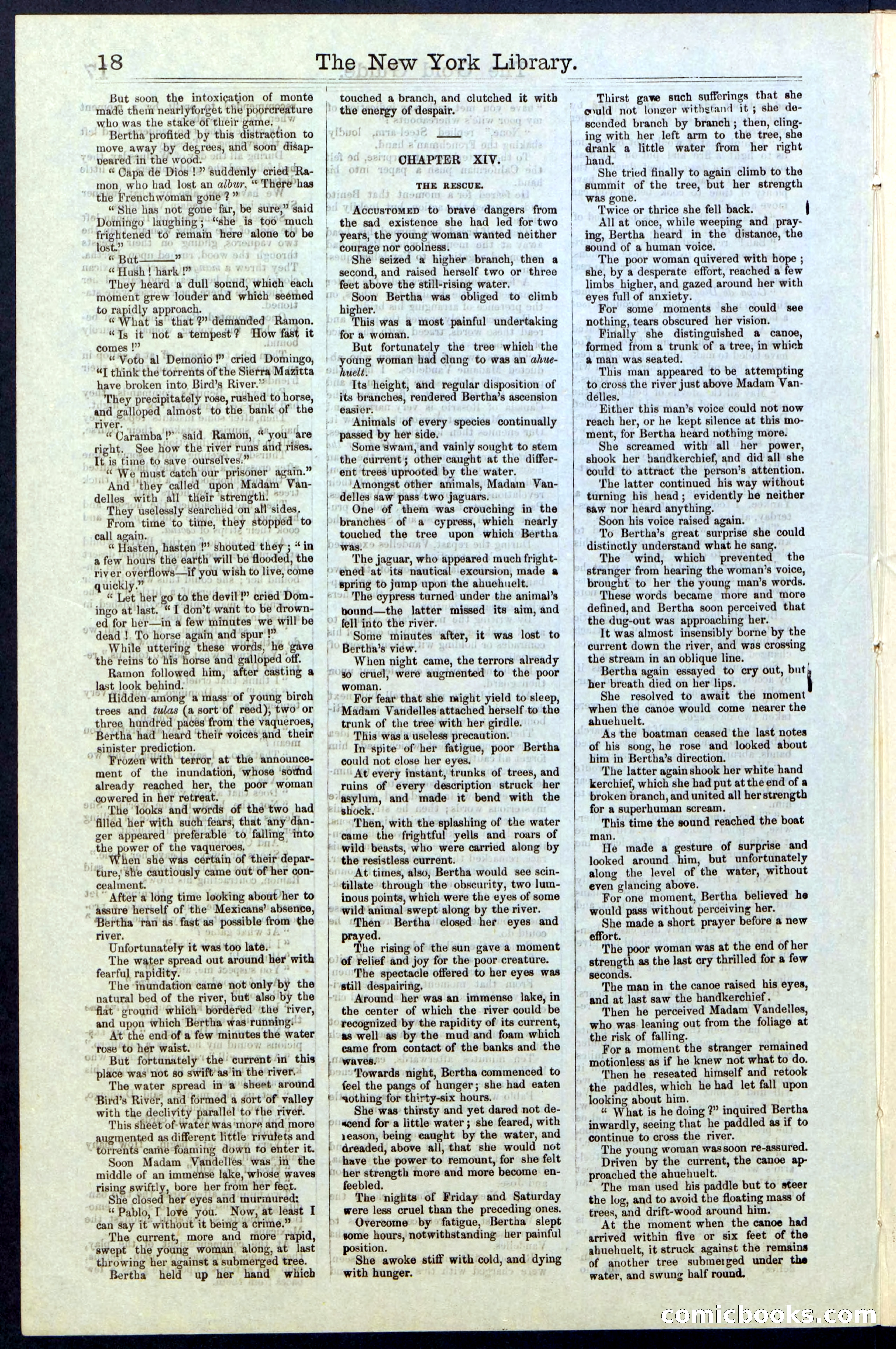 Beadle's New York Dime Library, No. 25 — page 18 of 40