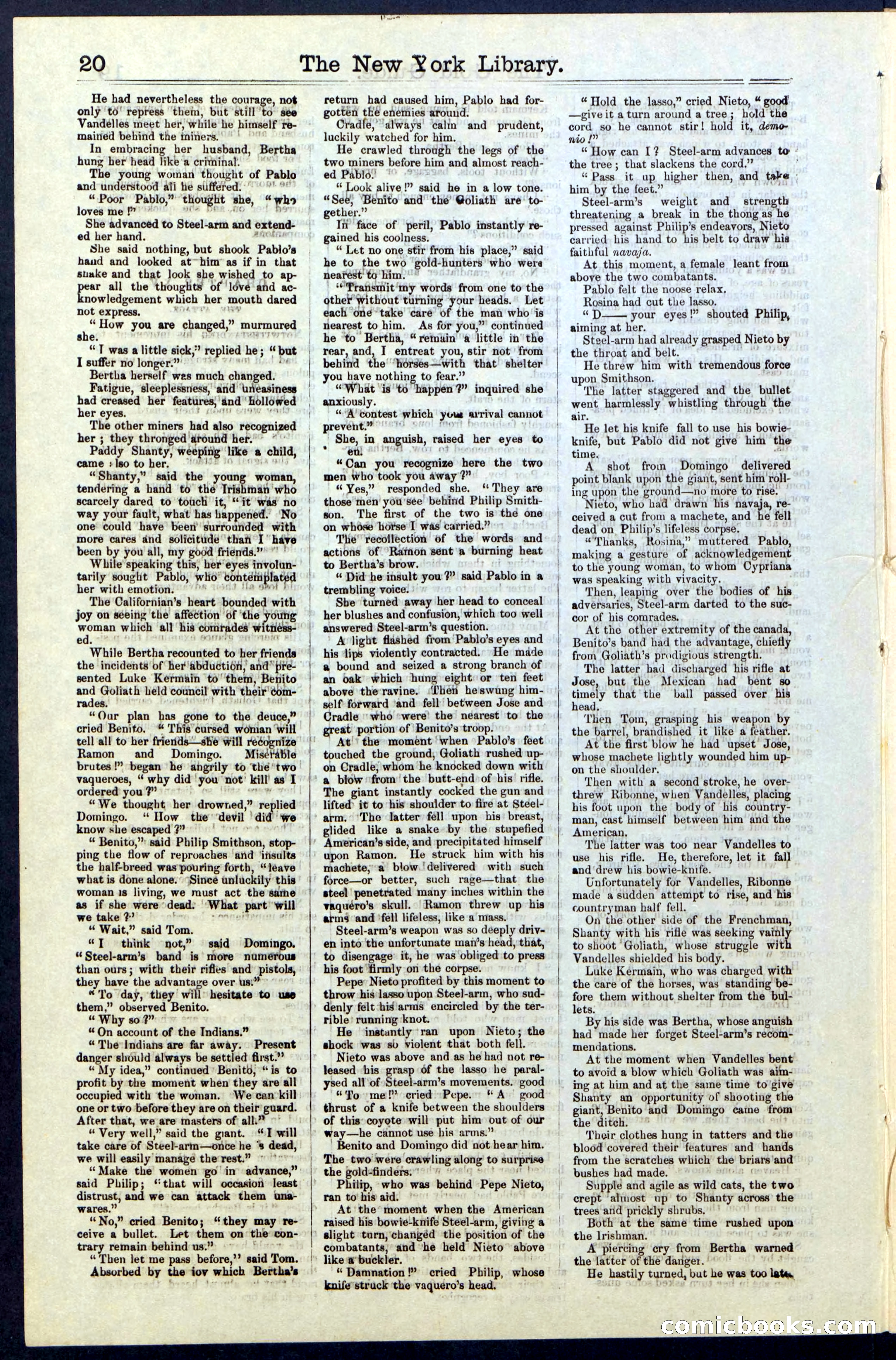 Beadle's New York Dime Library, No. 25 — page 20 of 40