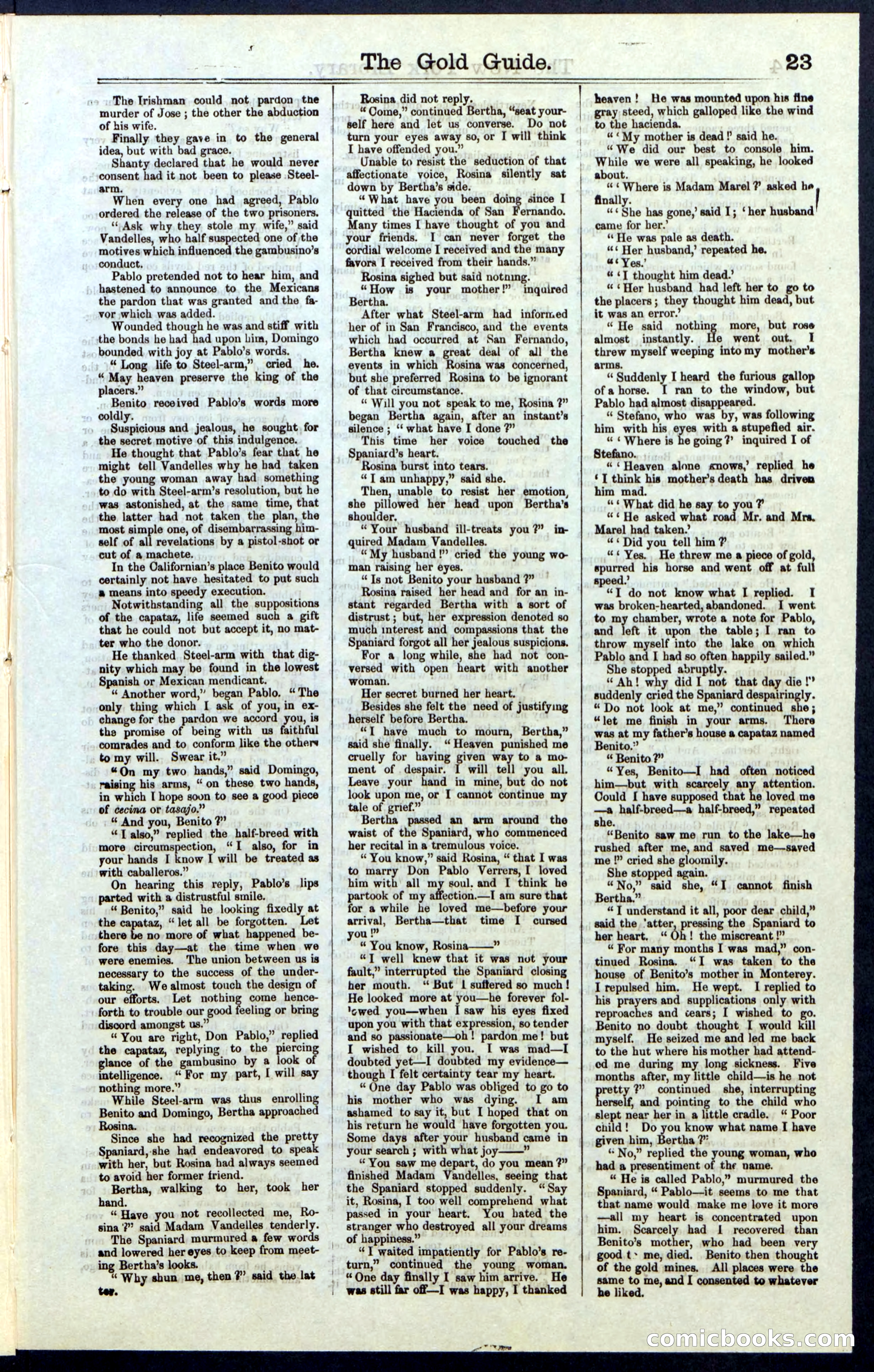 Beadle's New York Dime Library, No. 25 — page 23 of 40