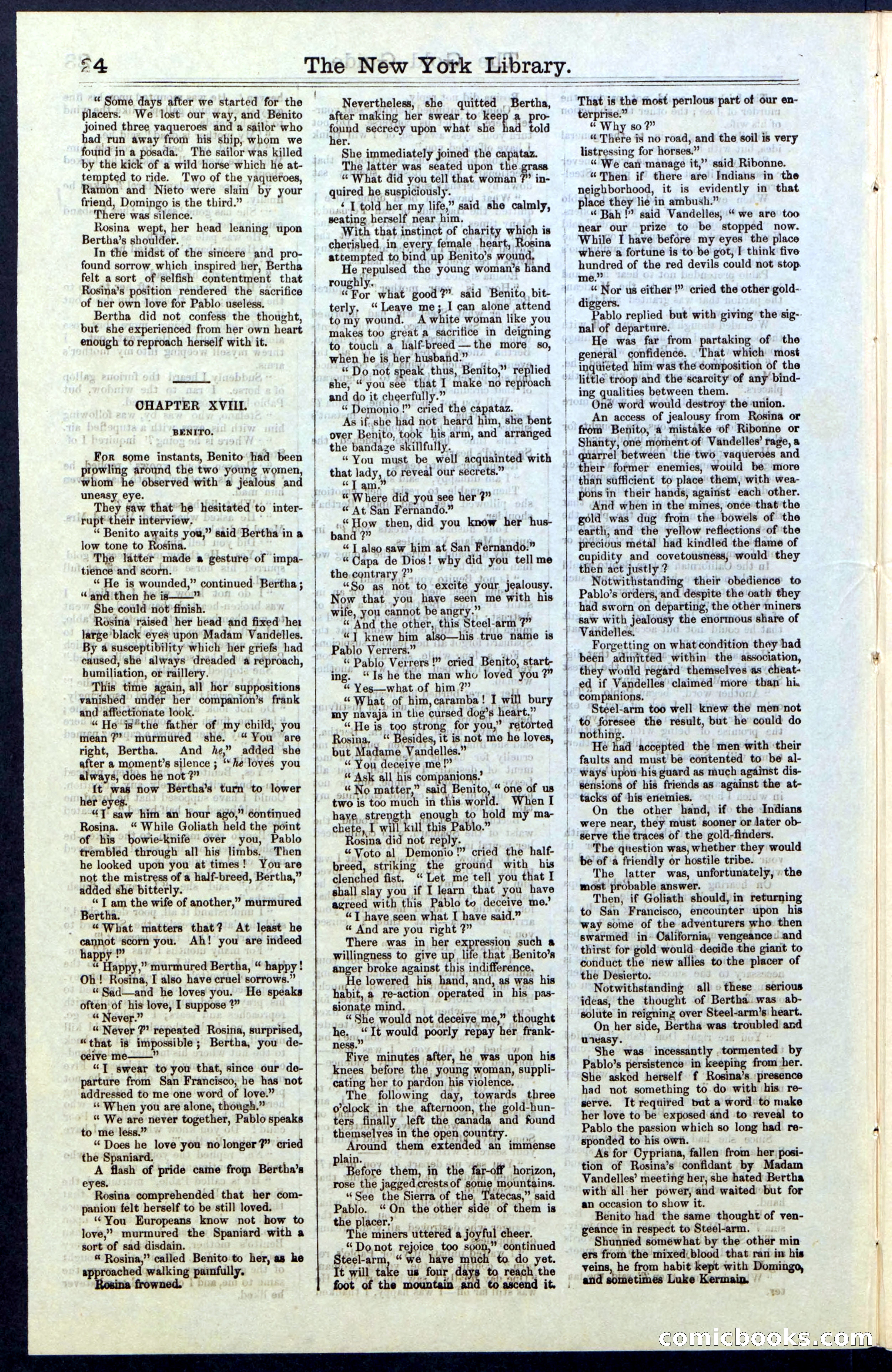 Beadle's New York Dime Library, No. 25 — page 24 of 40
