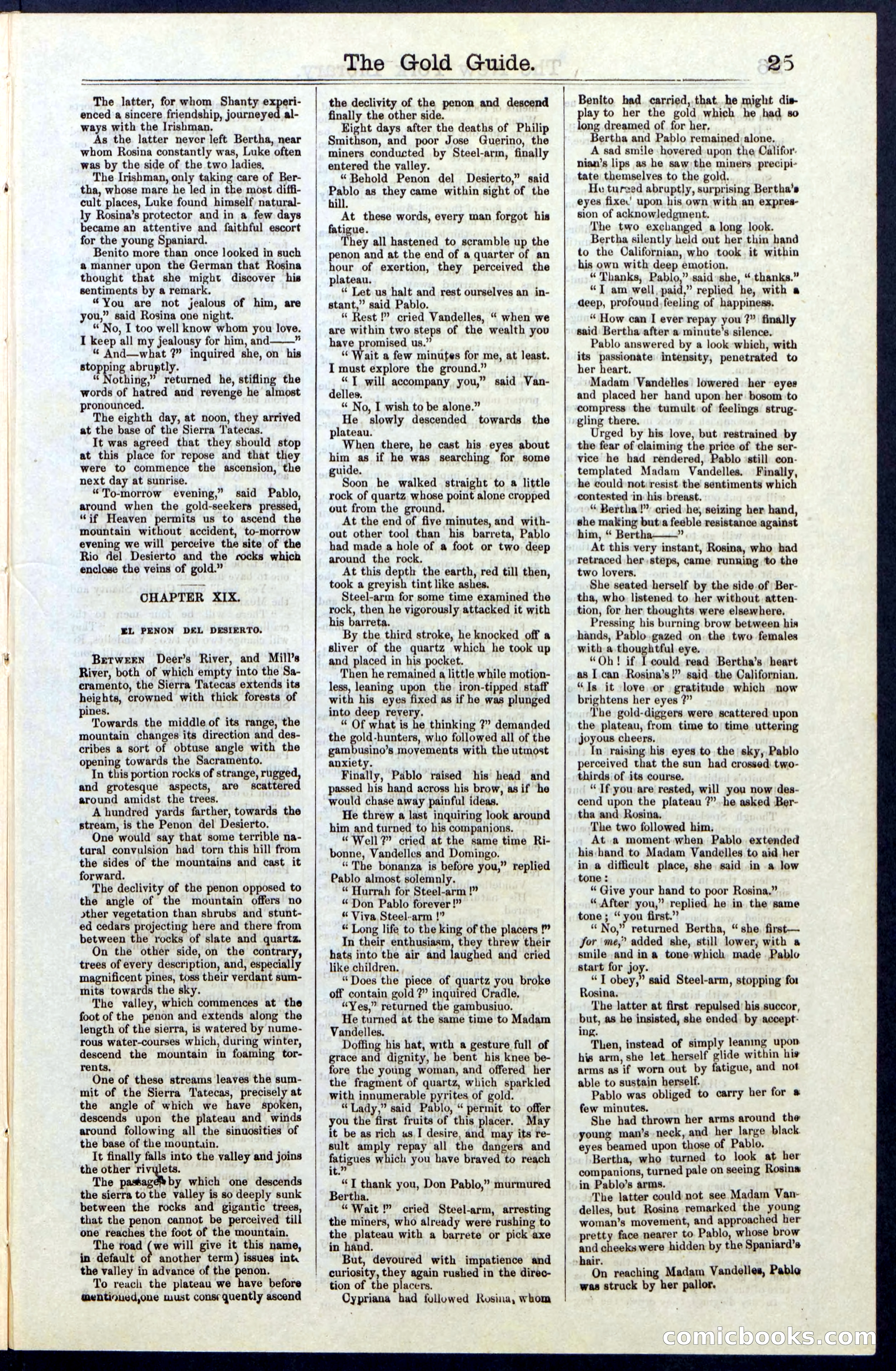 Beadle's New York Dime Library, No. 25 — page 25 of 40