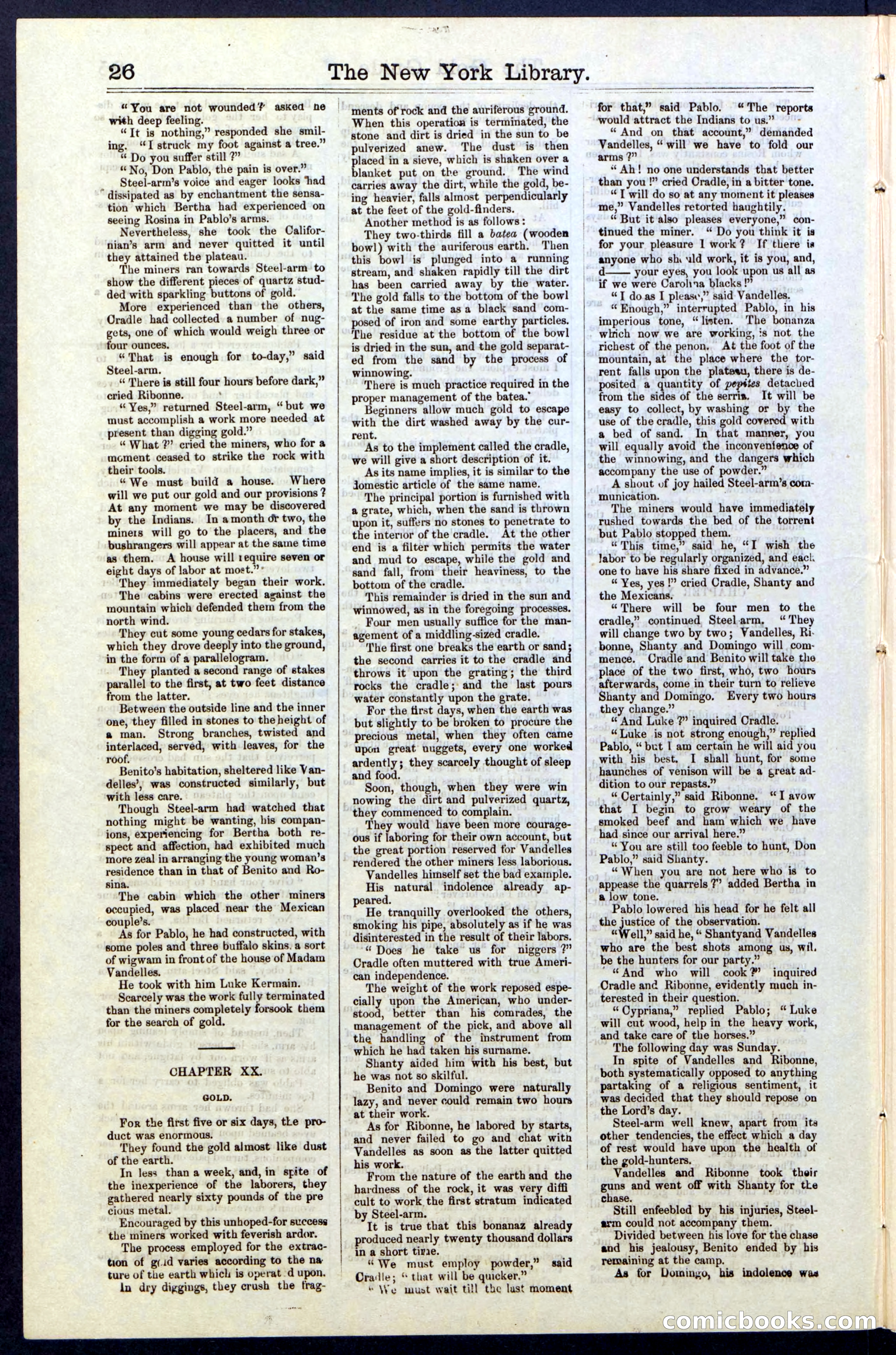 Beadle's New York Dime Library, No. 25 — page 26 of 40