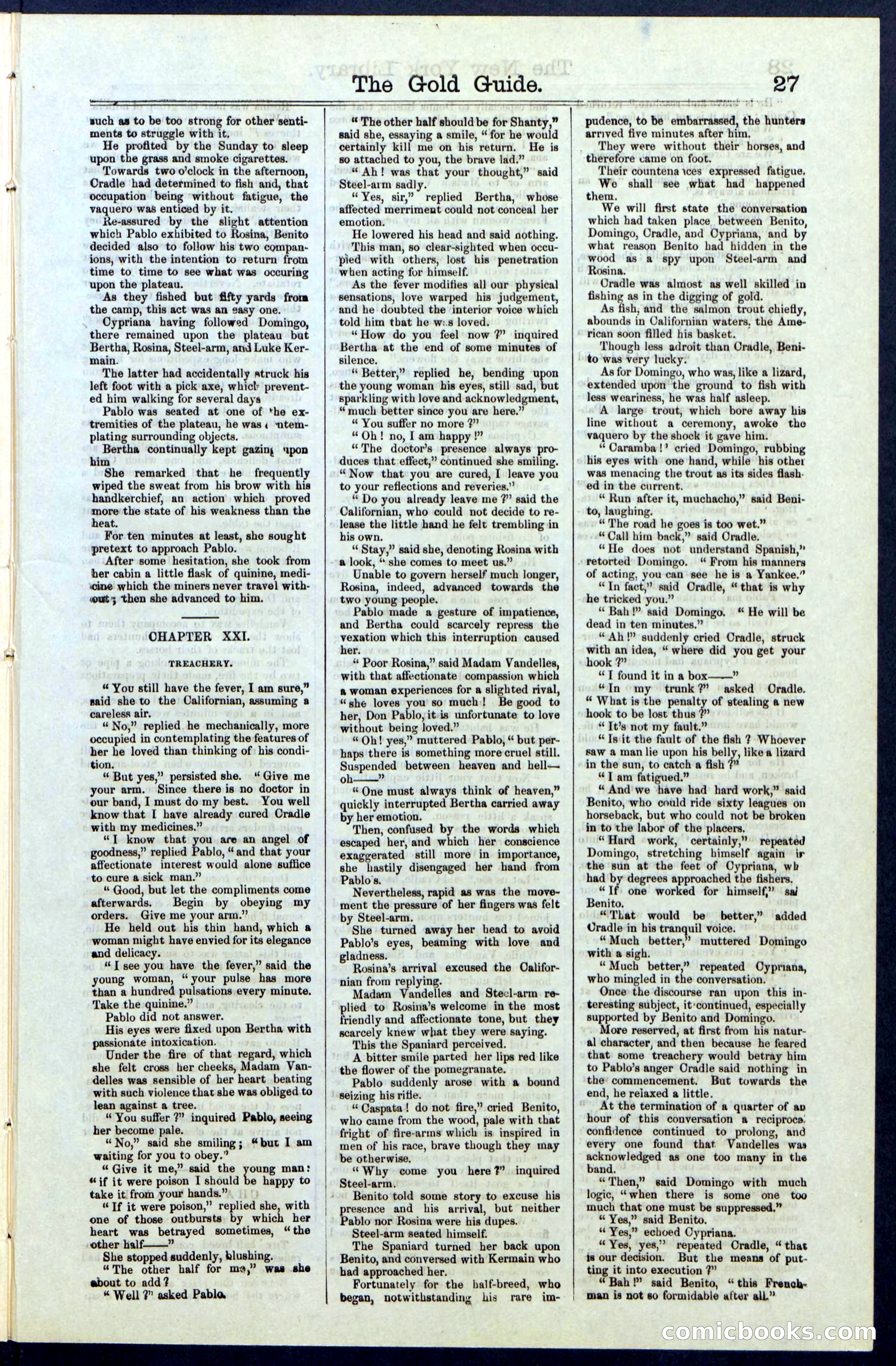 Beadle's New York Dime Library, No. 25 — page 27 of 40