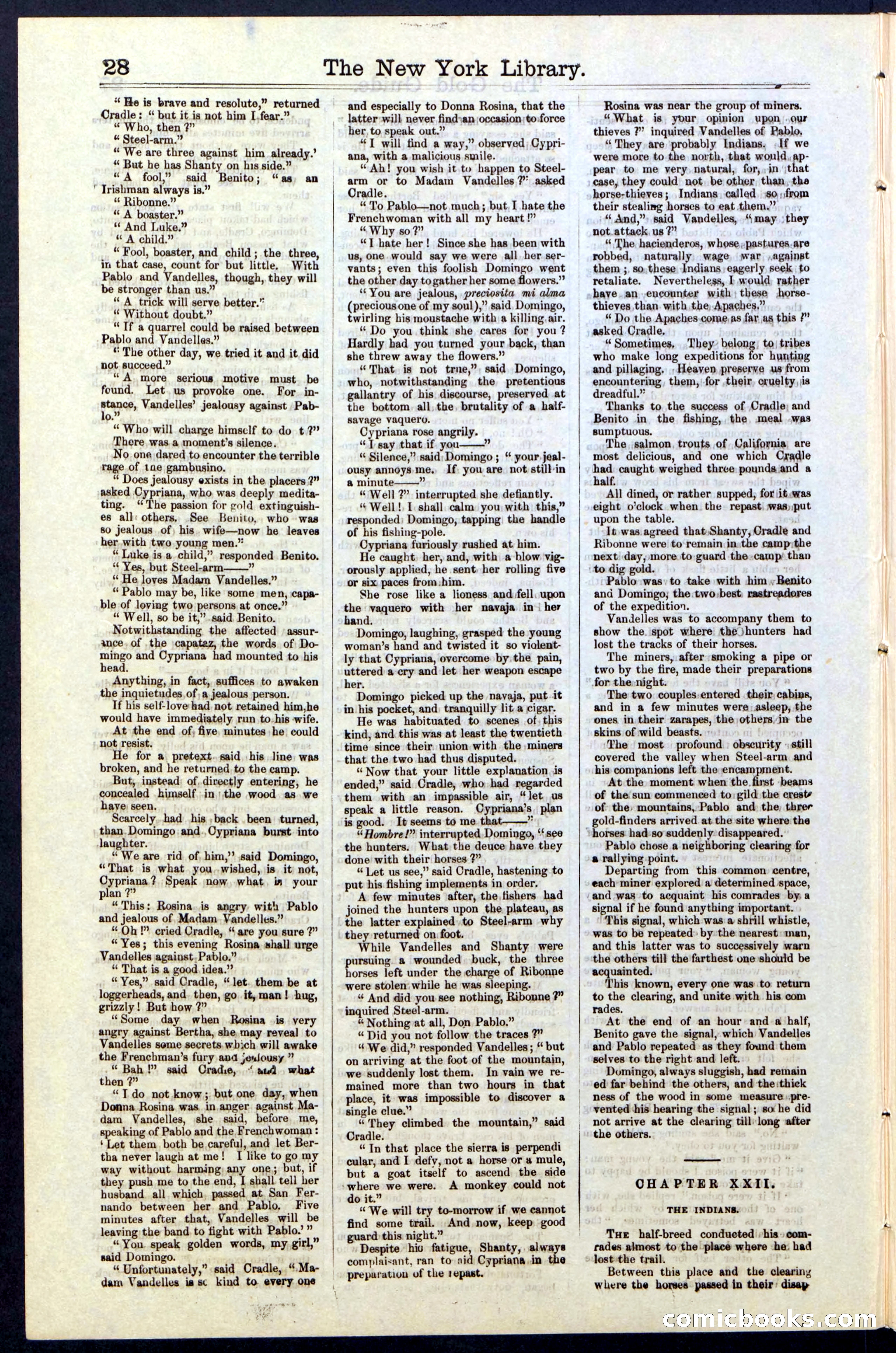Beadle's New York Dime Library, No. 25 — page 28 of 40