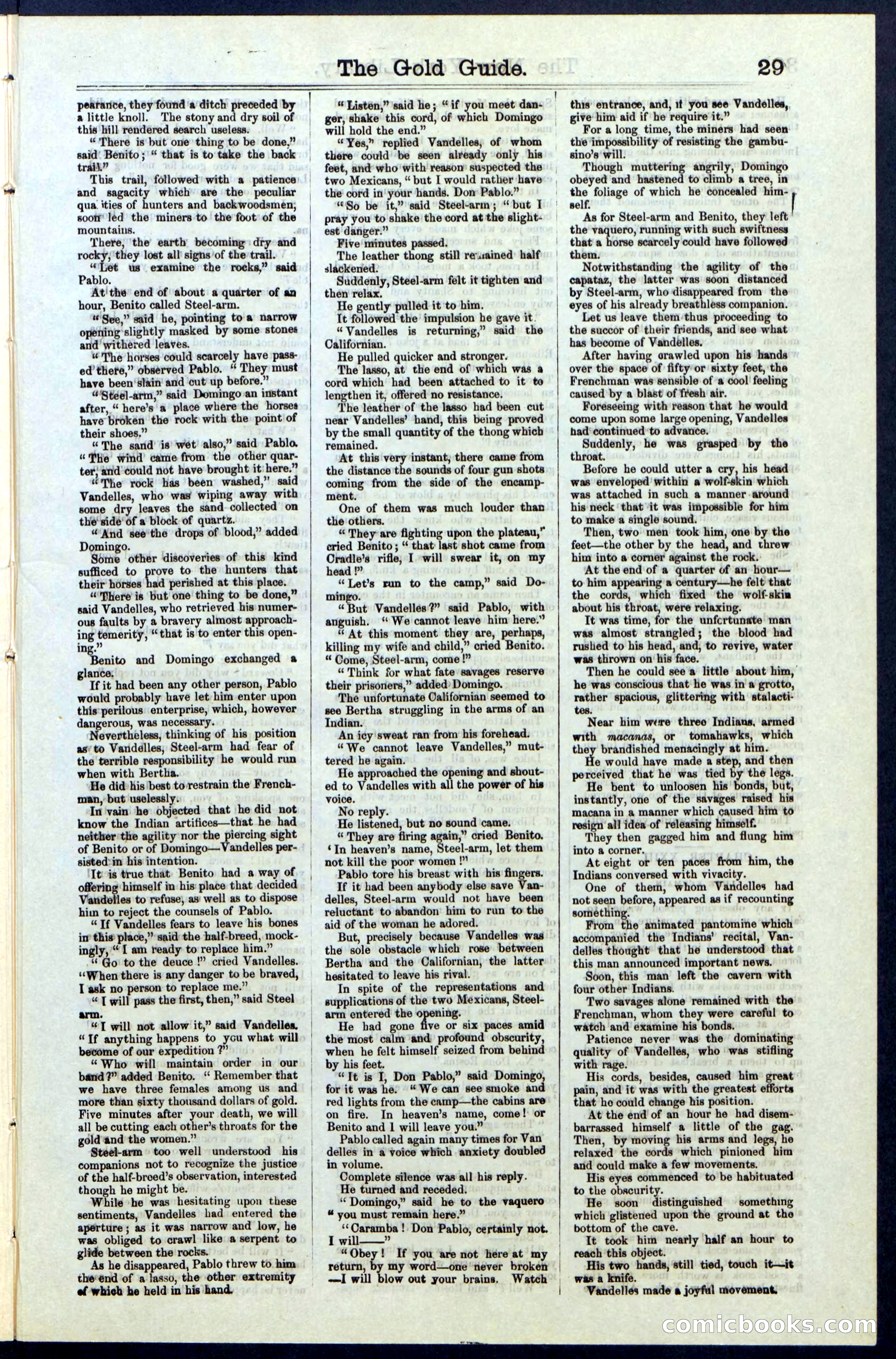 Beadle's New York Dime Library, No. 25 — page 29 of 40