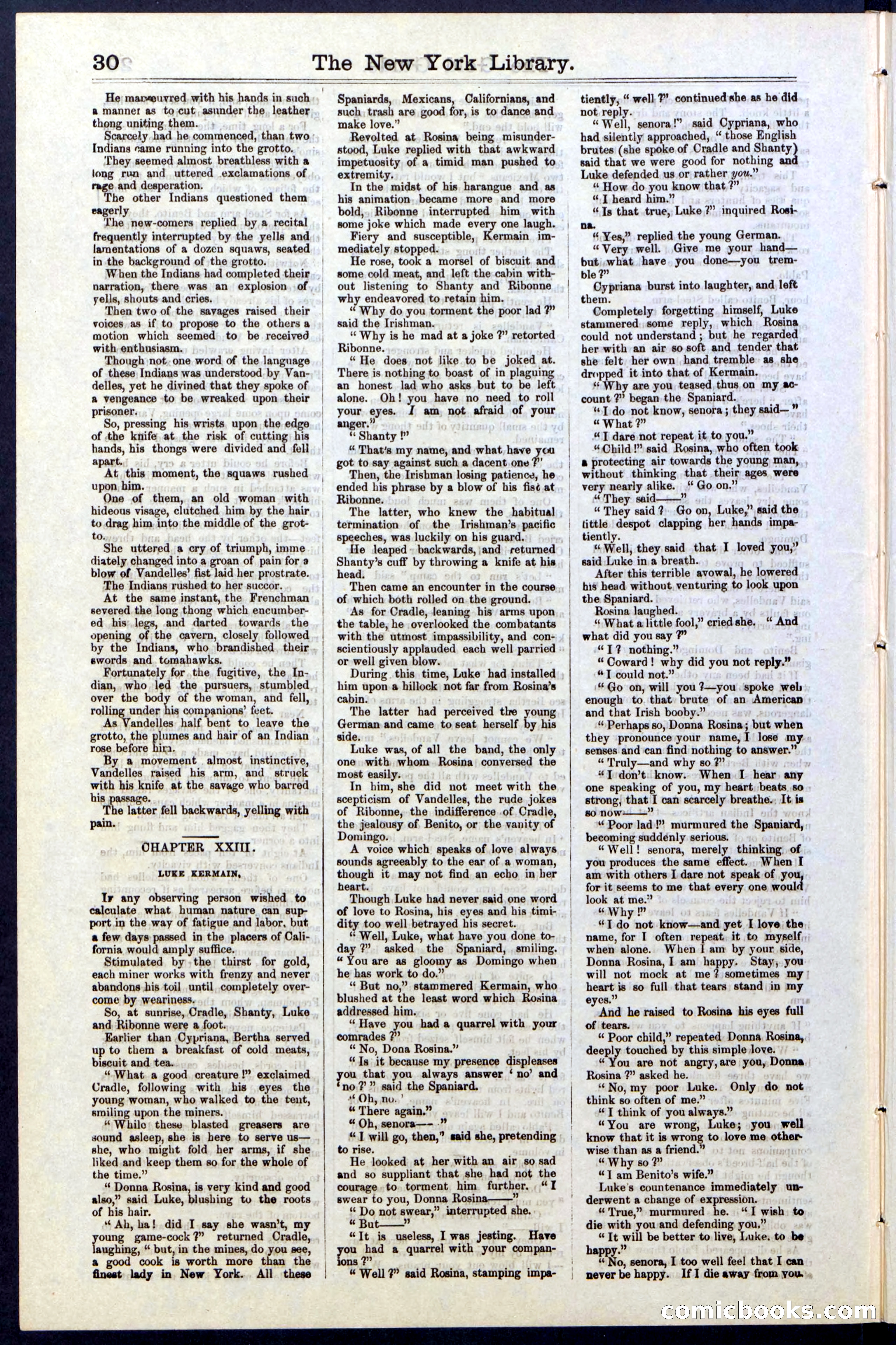 Beadle's New York Dime Library, No. 25 — page 30 of 40