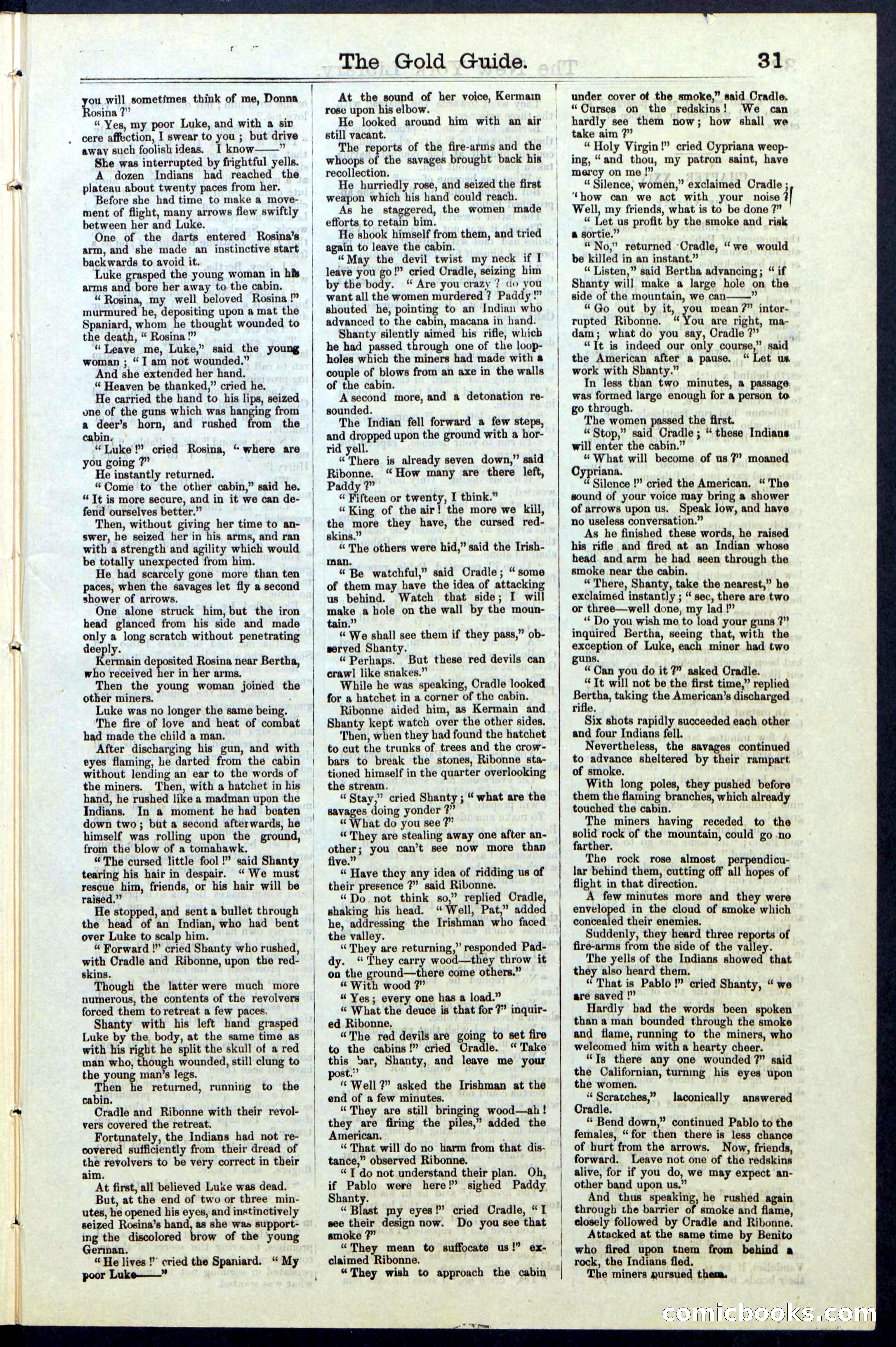 Beadle's New York Dime Library, No. 25 — page 31 of 40