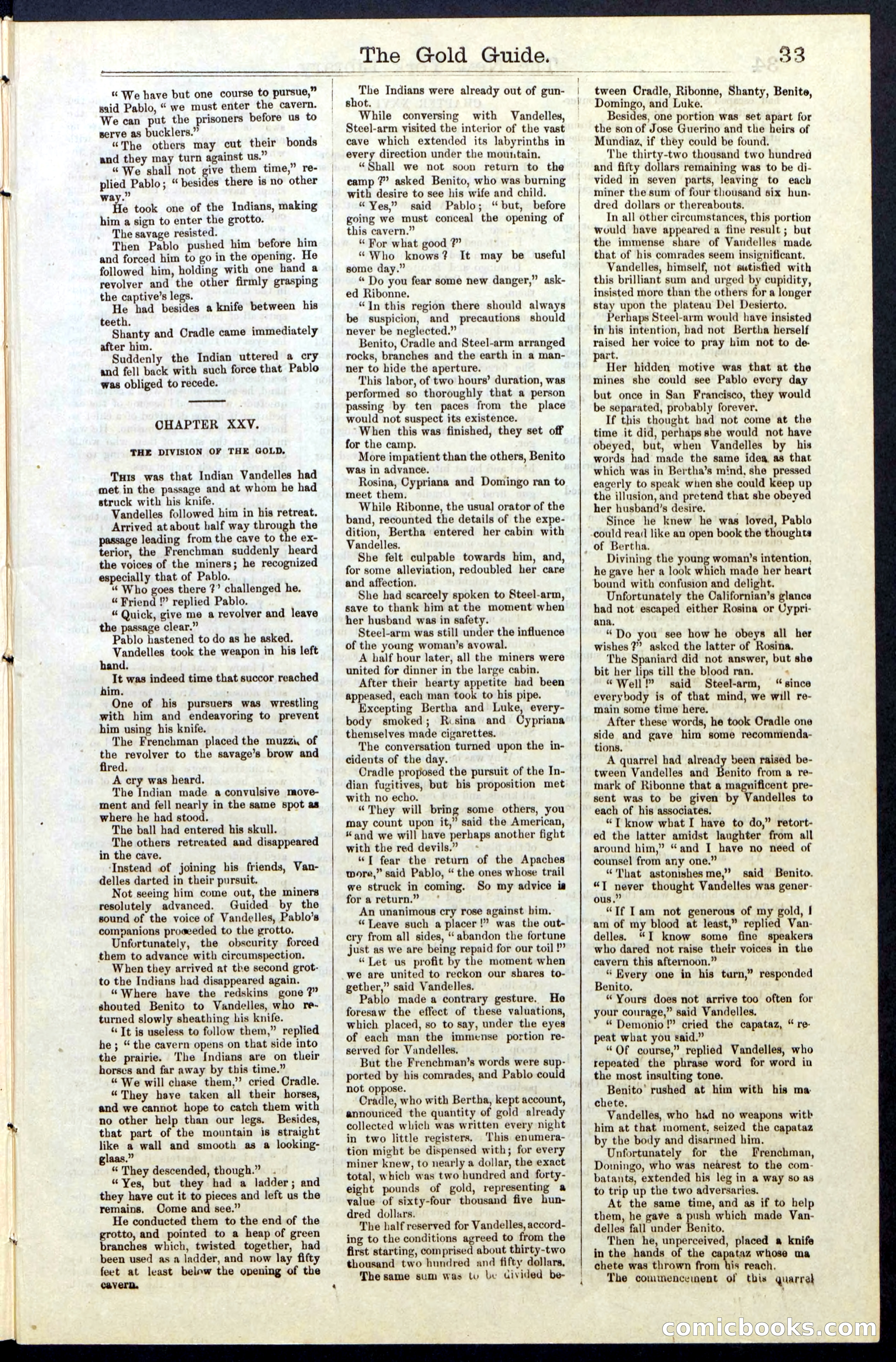 Beadle's New York Dime Library, No. 25 — page 33 of 40