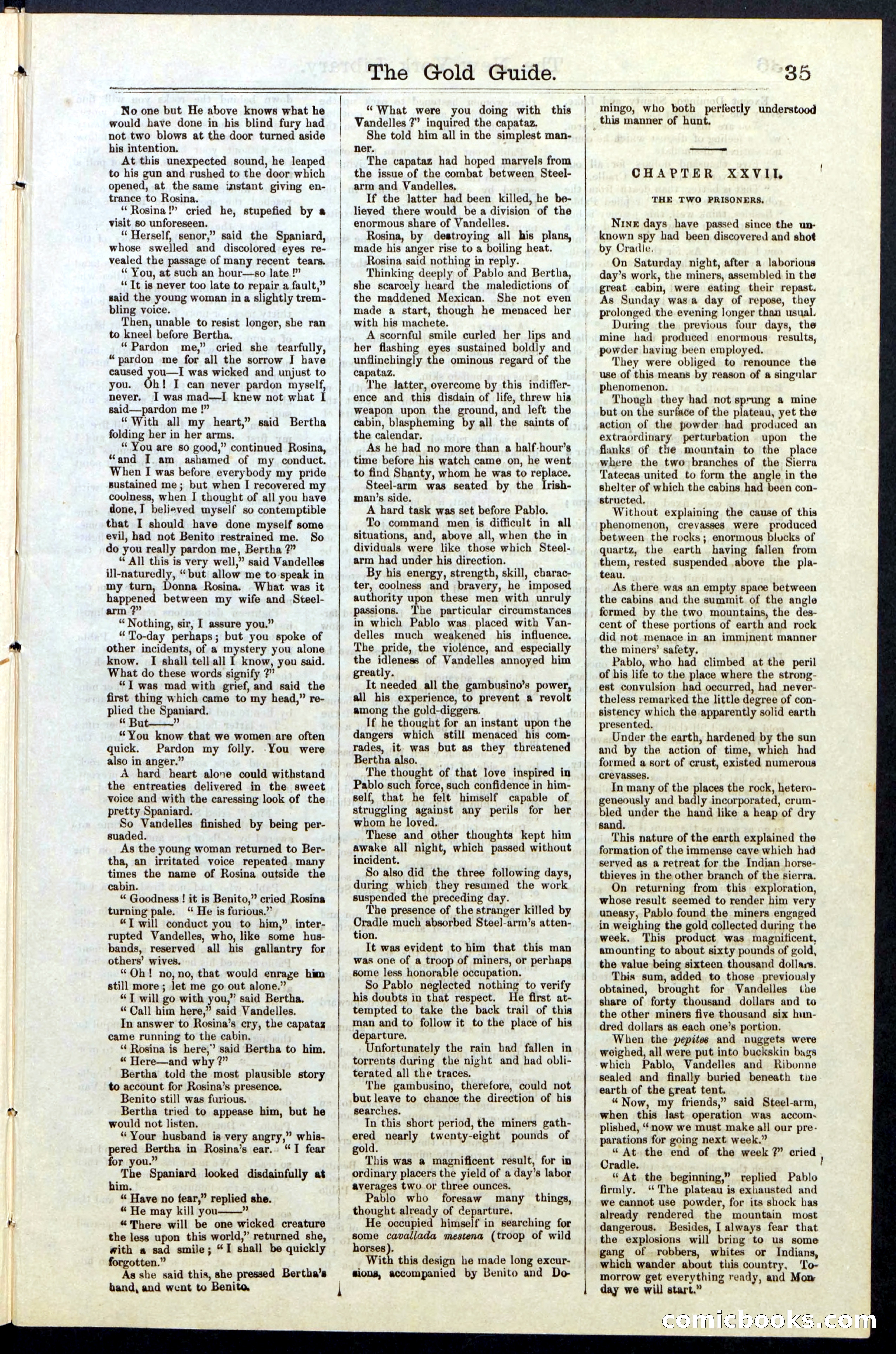 Beadle's New York Dime Library, No. 25 — page 35 of 40