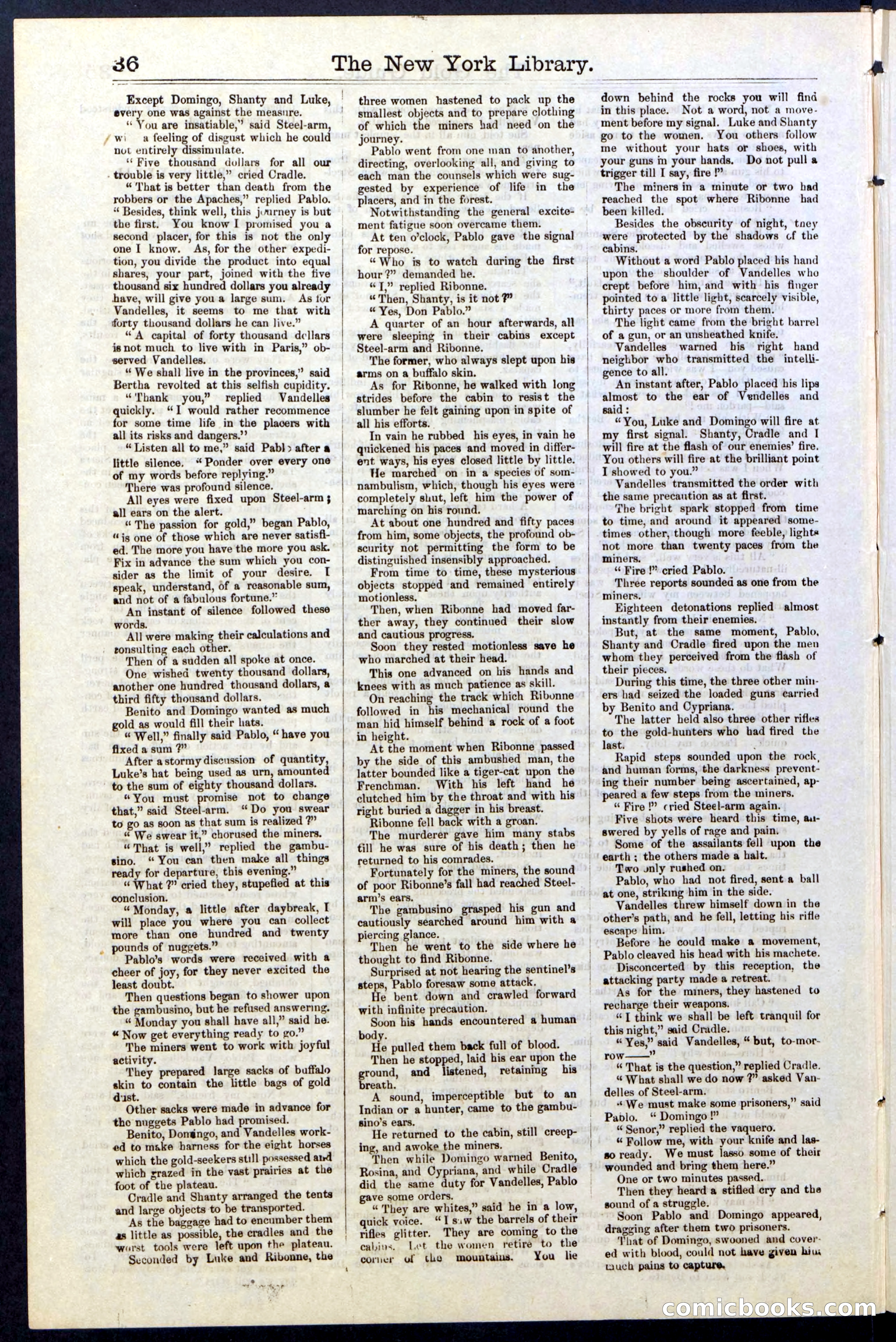 Beadle's New York Dime Library, No. 25 — page 36 of 40