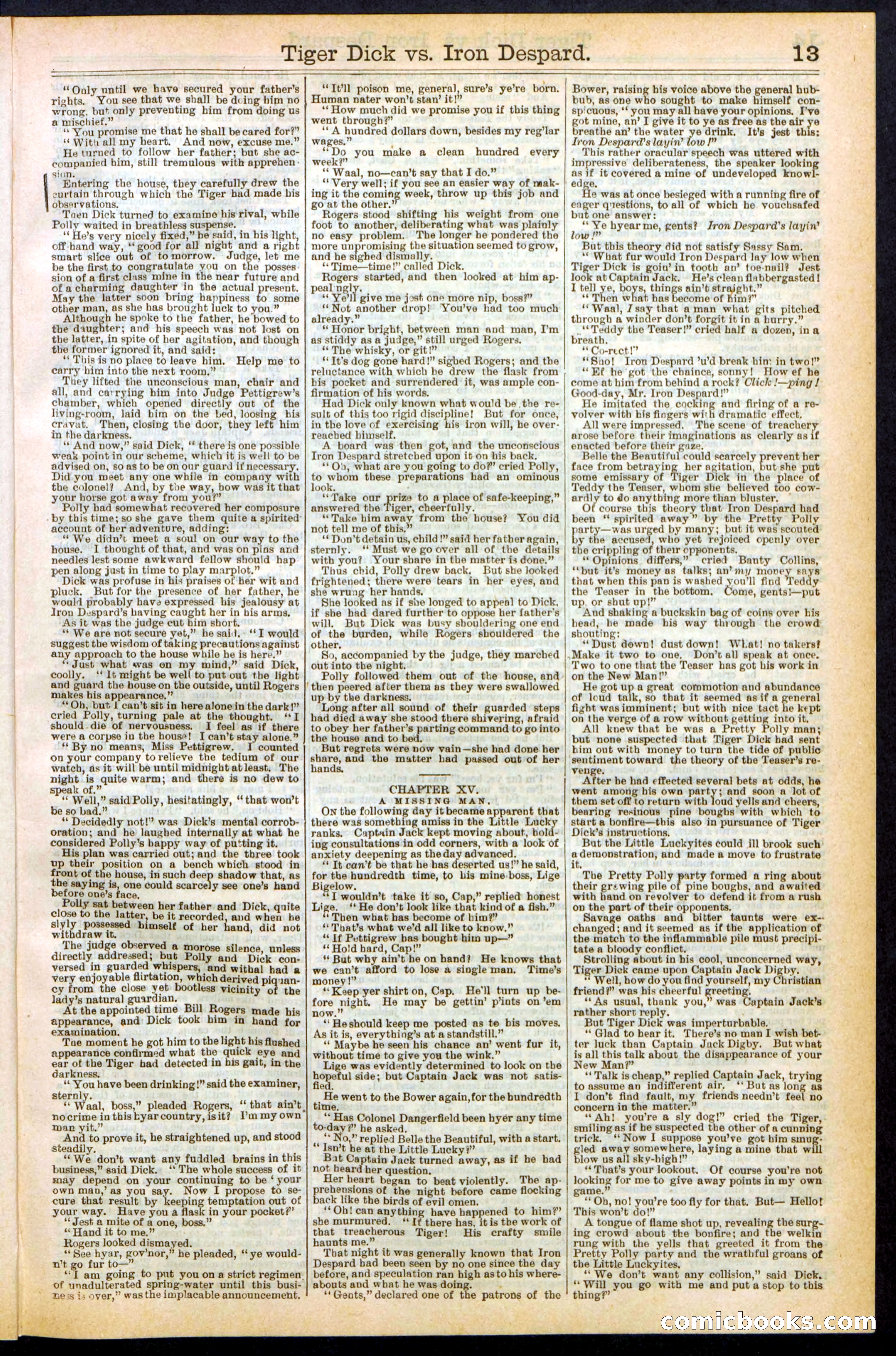 Beadle's Dime Library, Vol. XX, No. 251 — page 13 of 32