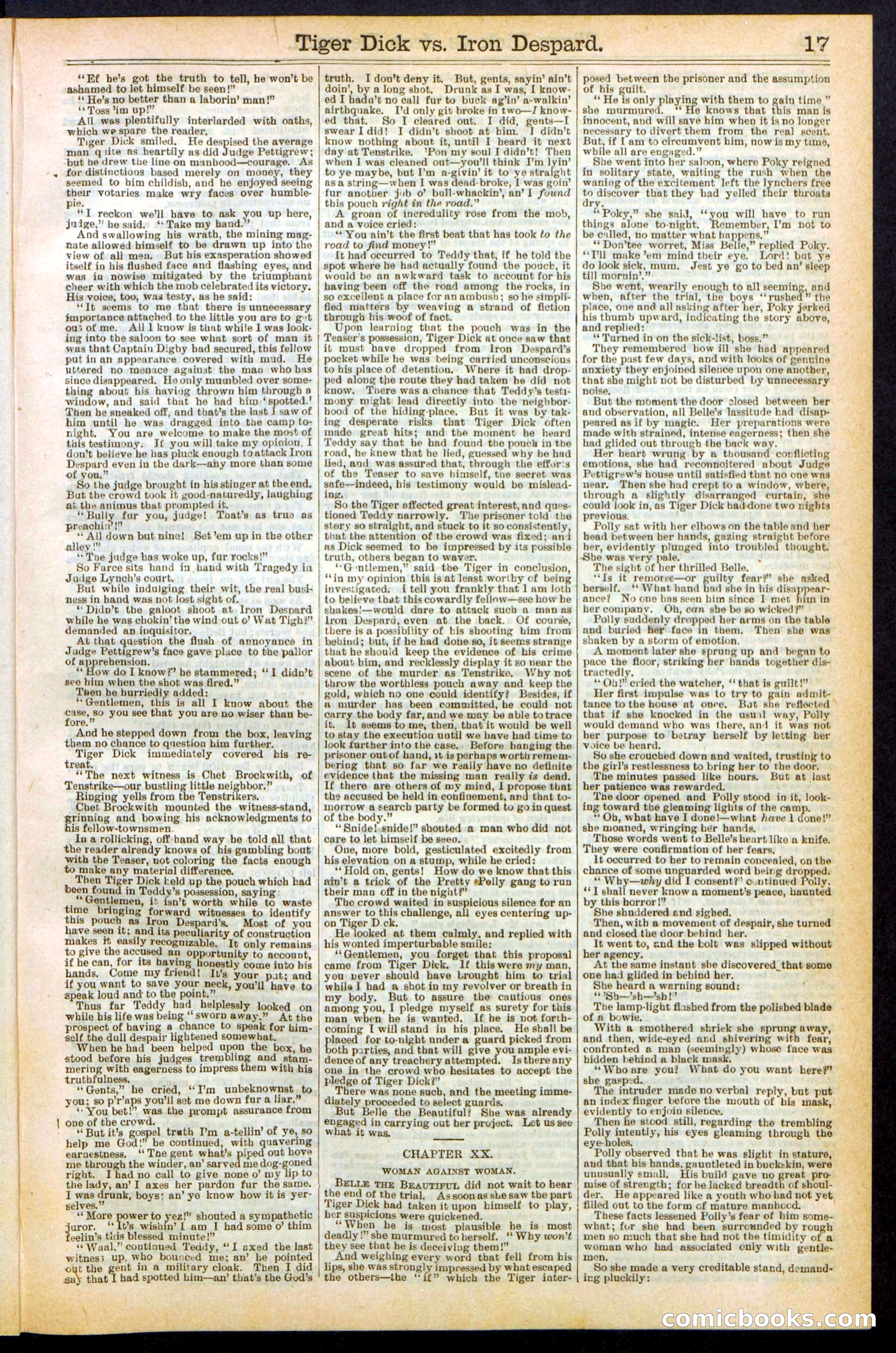 Beadle's Dime Library, Vol. XX, No. 251 — page 17 of 32