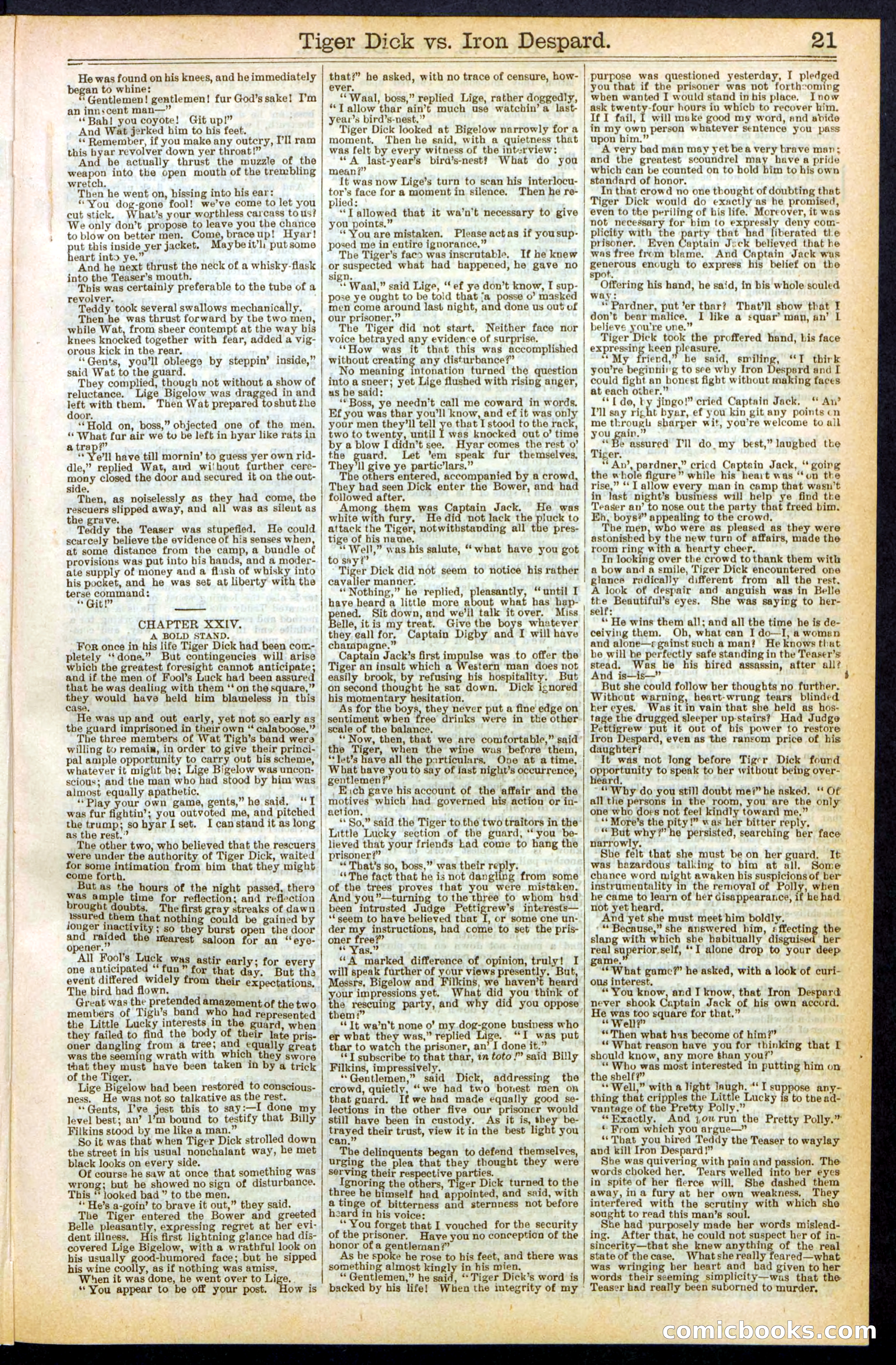 Beadle's Dime Library, Vol. XX, No. 251 — page 21 of 32
