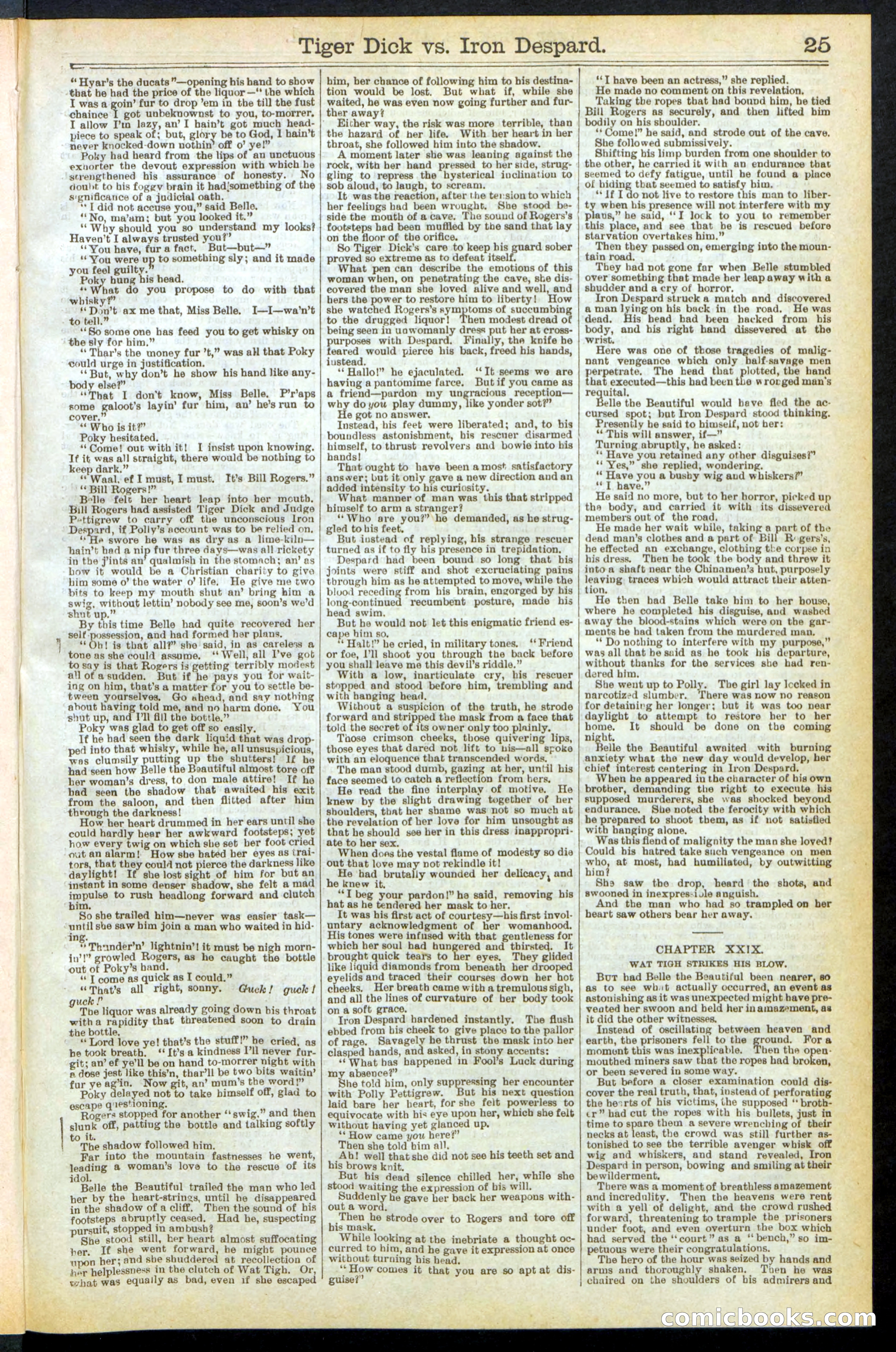Beadle's Dime Library, Vol. XX, No. 251 — page 25 of 32