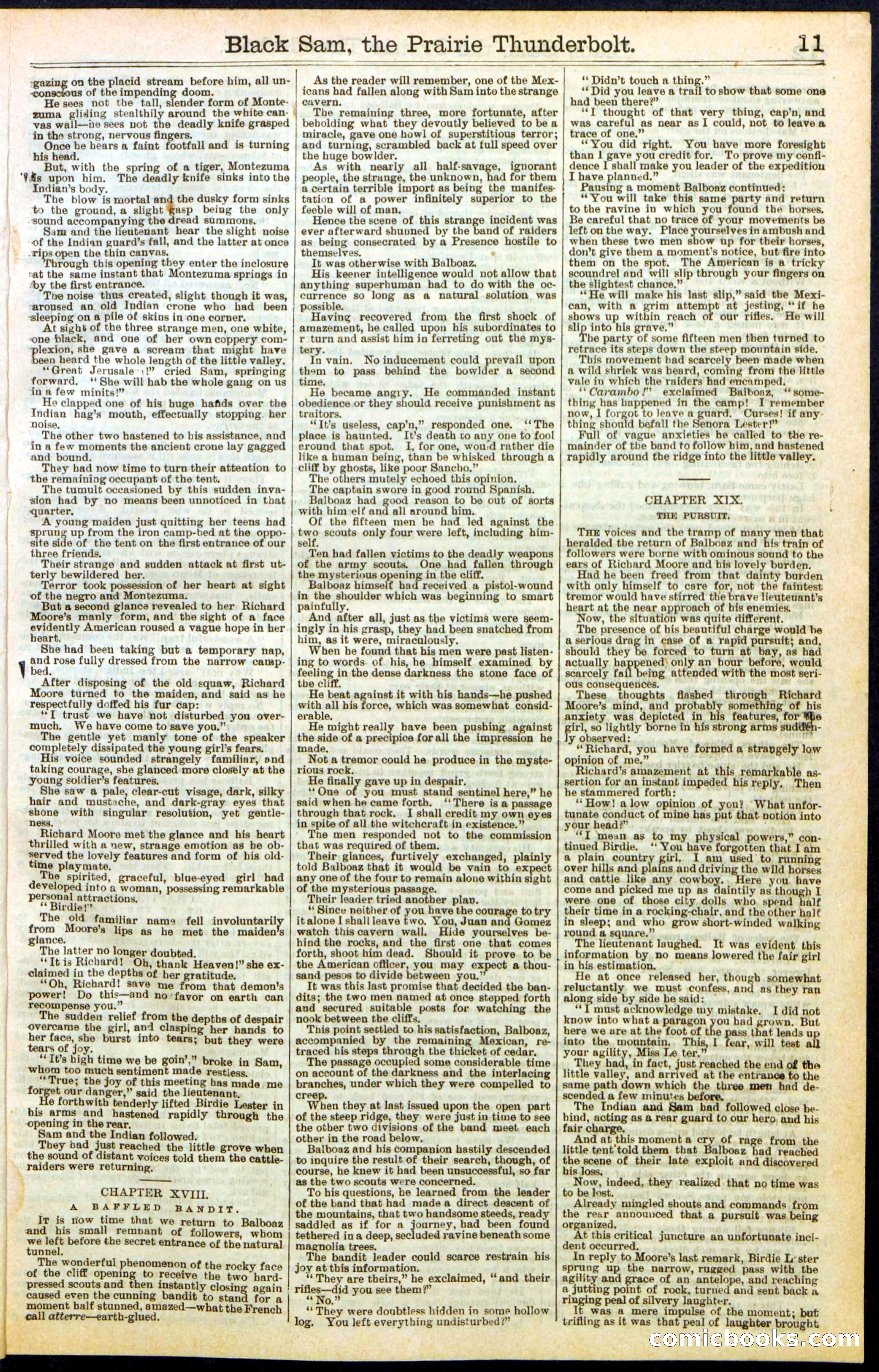 Beadle's Dime Library, No. 261 — page 11 of 24