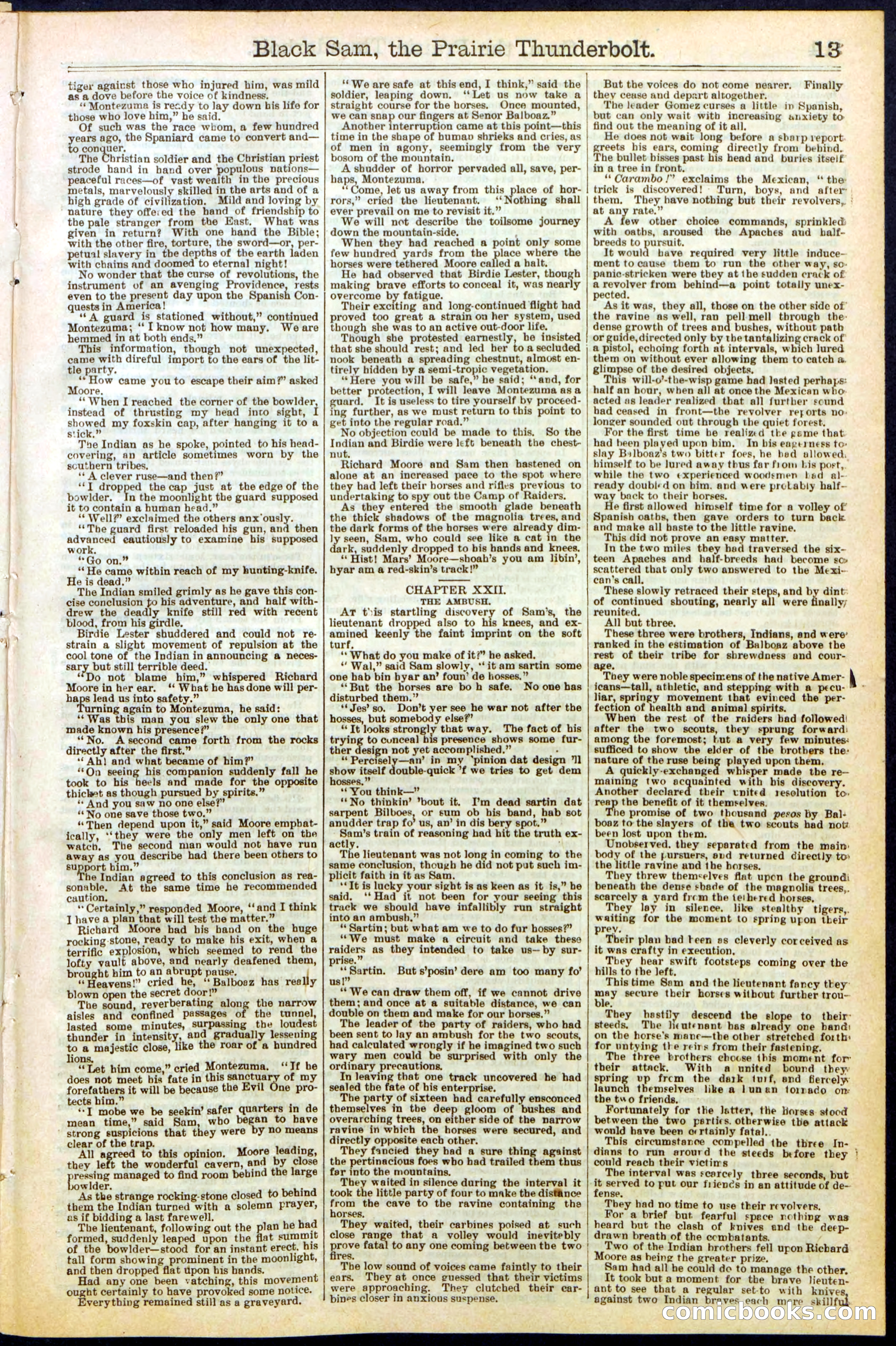 Beadle's Dime Library, No. 261 — page 13 of 24