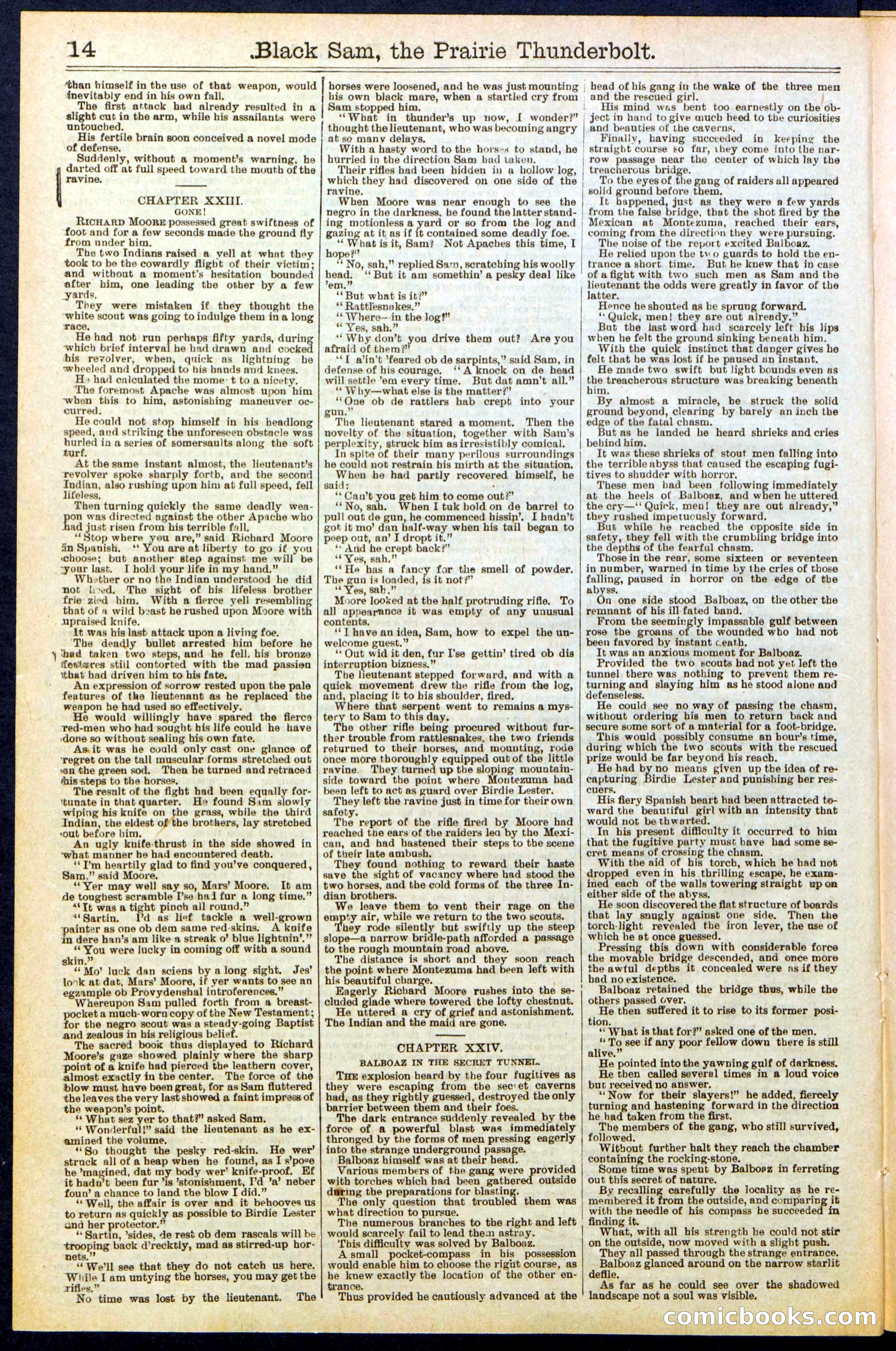 Beadle's Dime Library, No. 261 — page 14 of 24