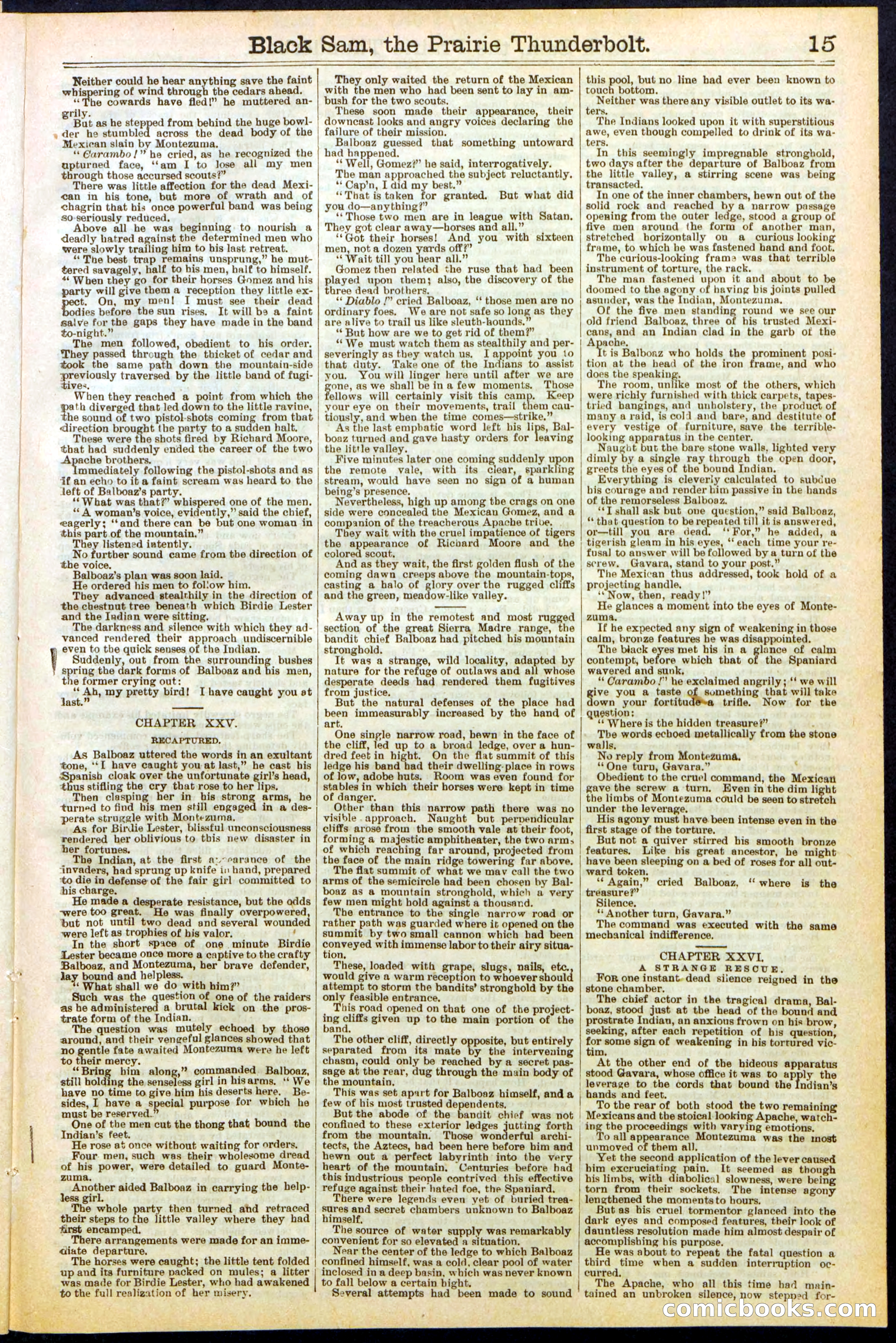 Beadle's Dime Library, No. 261 — page 15 of 24