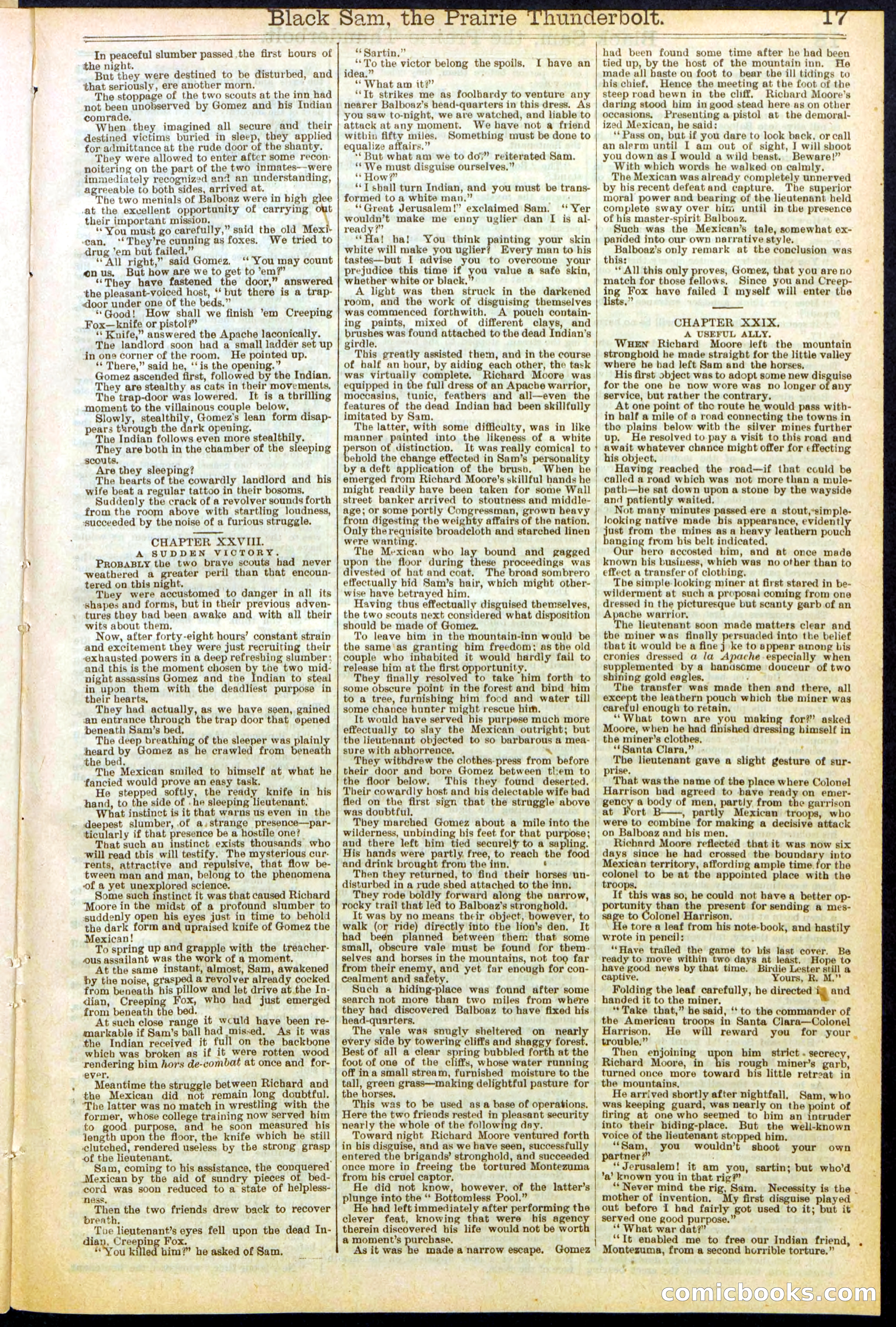Beadle's Dime Library, No. 261 — page 17 of 24