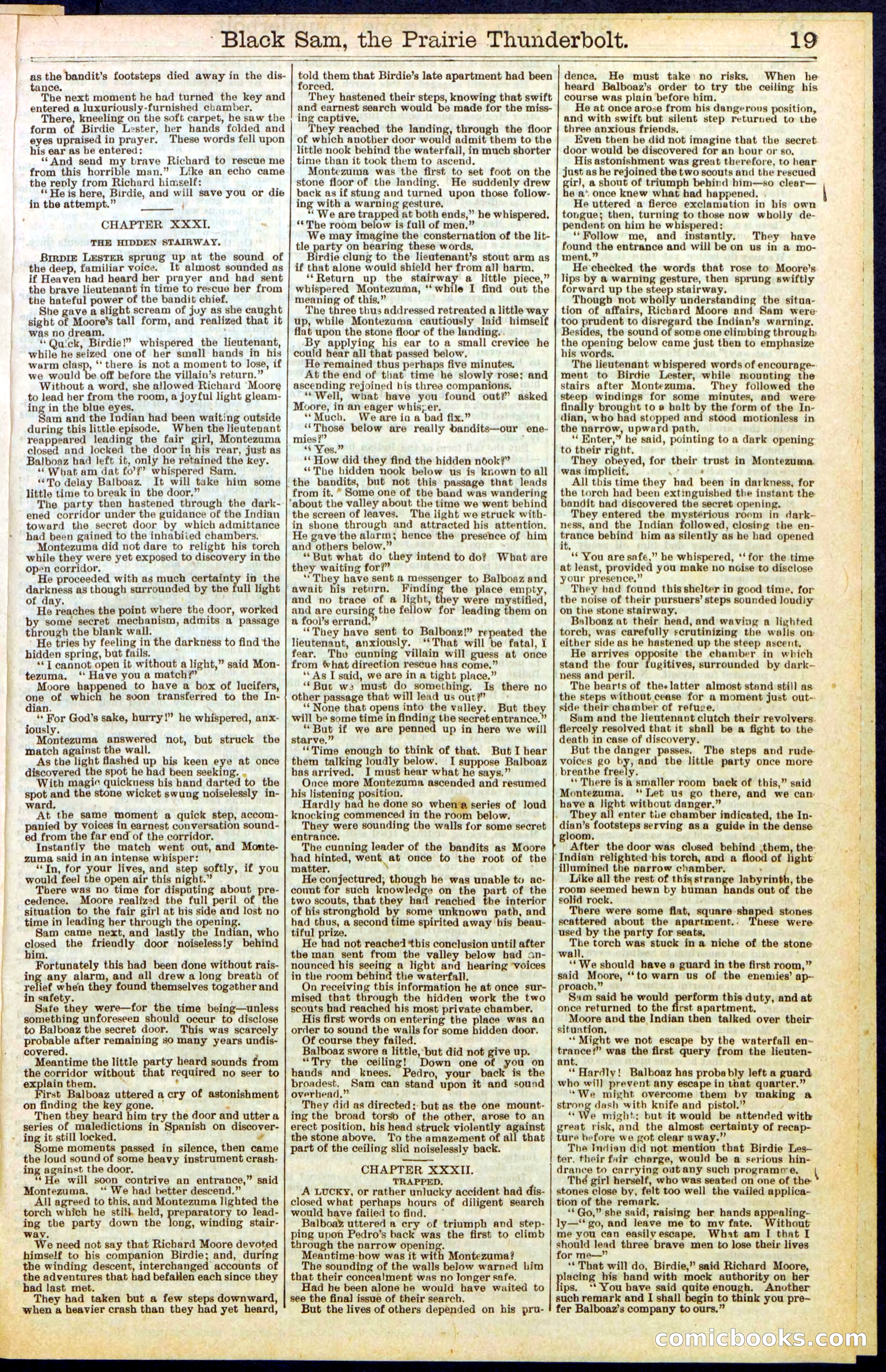 Beadle's Dime Library, No. 261 — page 19 of 24