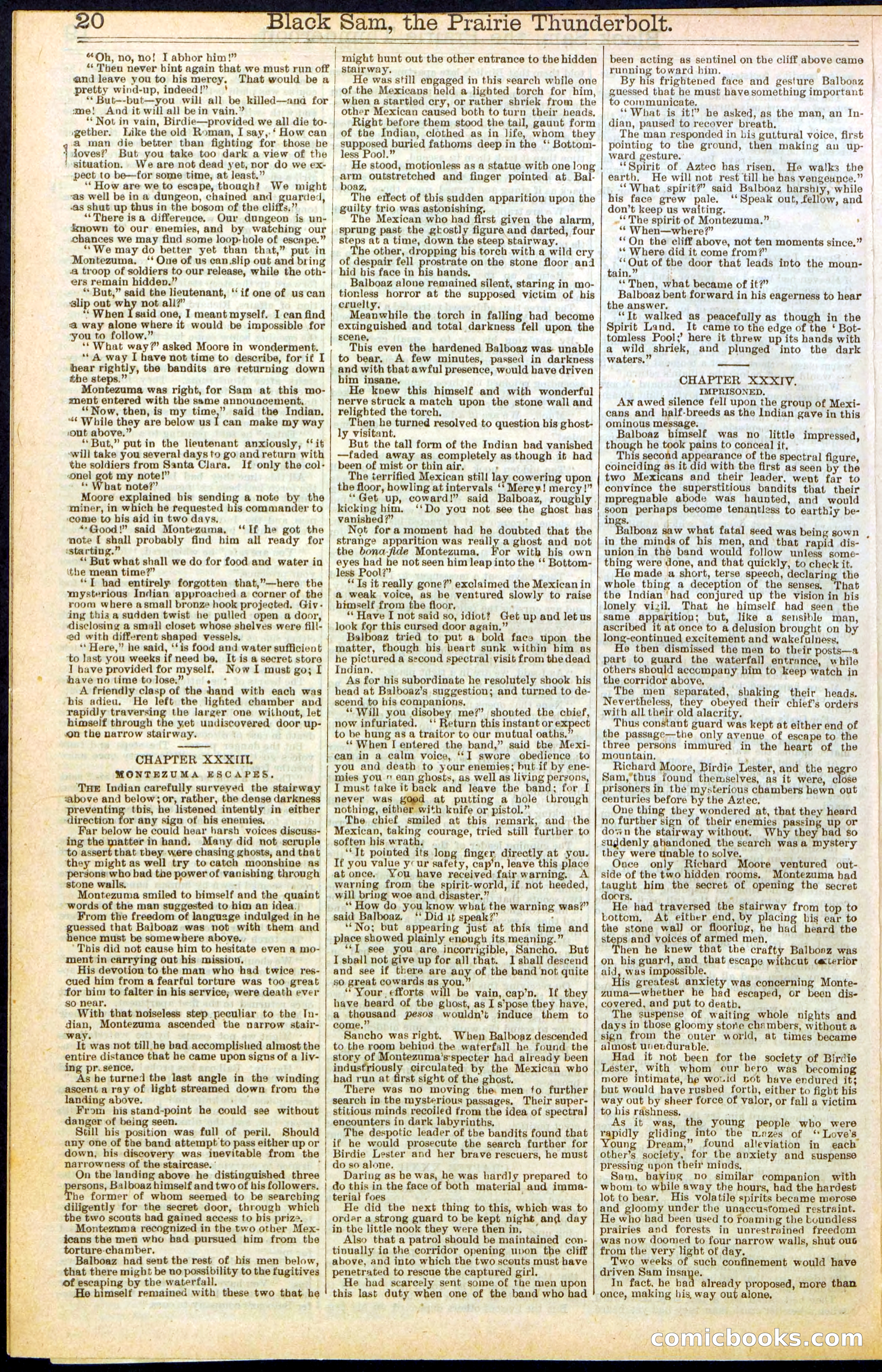 Beadle's Dime Library, No. 261 — page 20 of 24