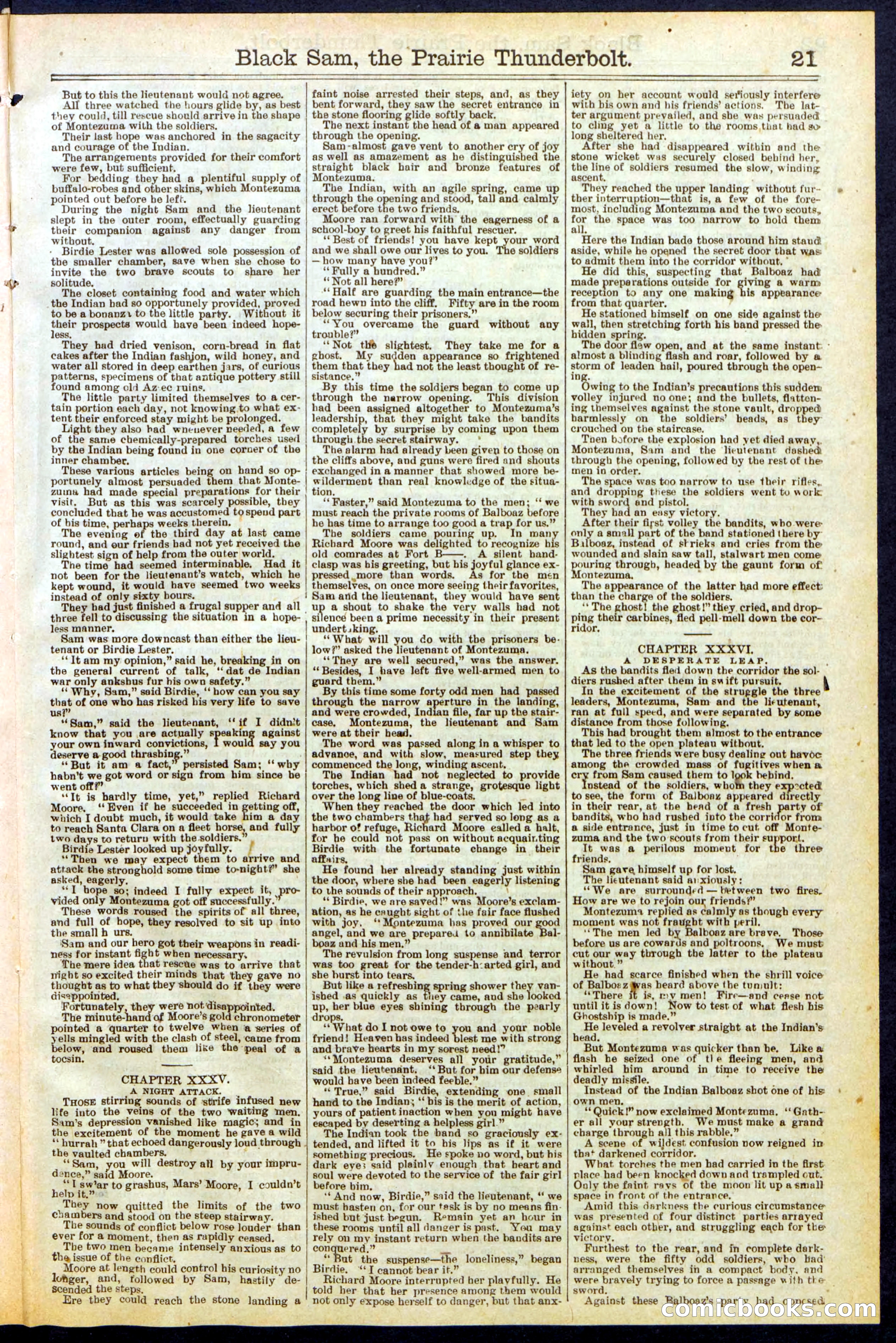 Beadle's Dime Library, No. 261 — page 21 of 24