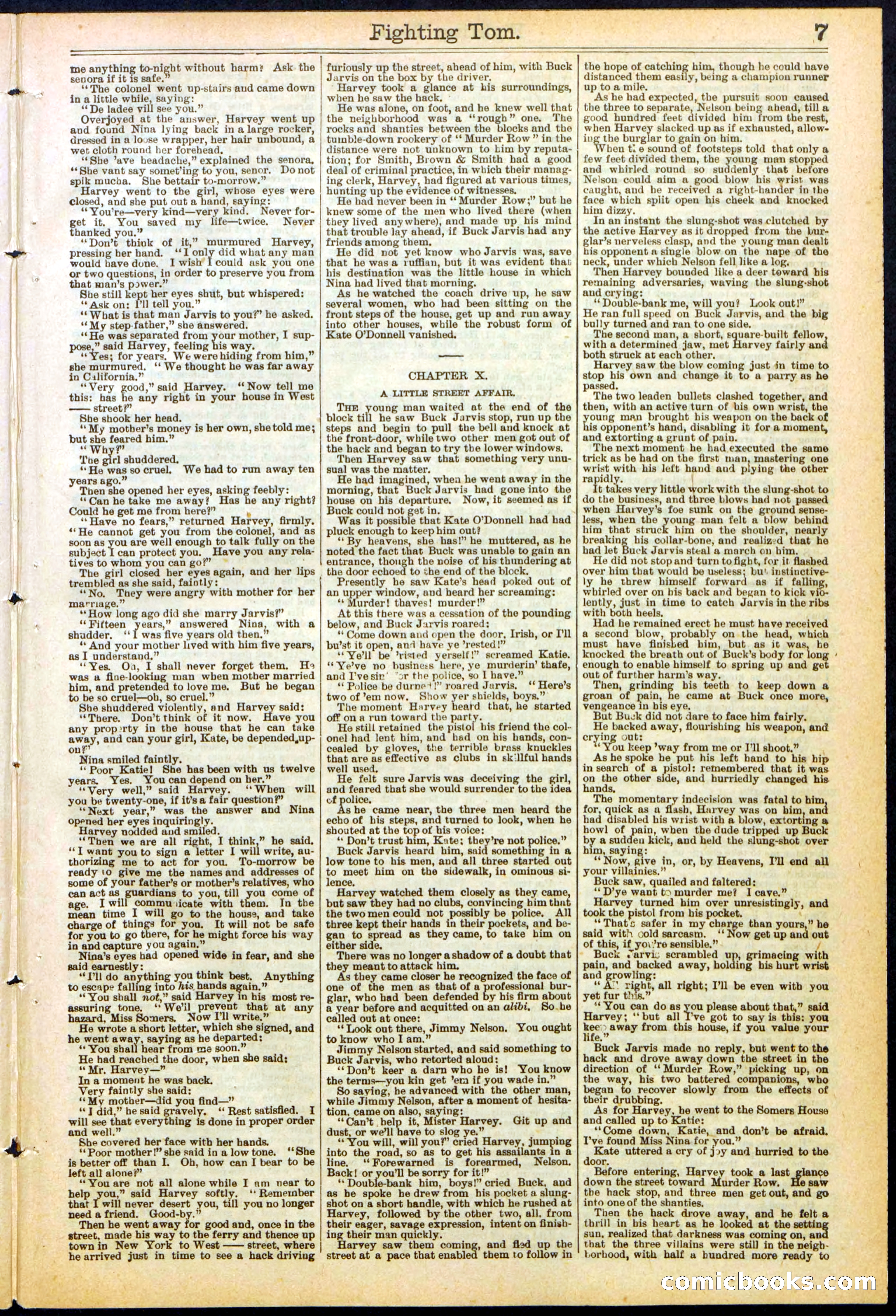 Beadle's New York Dime Library No. 262 — page 7 of 32
