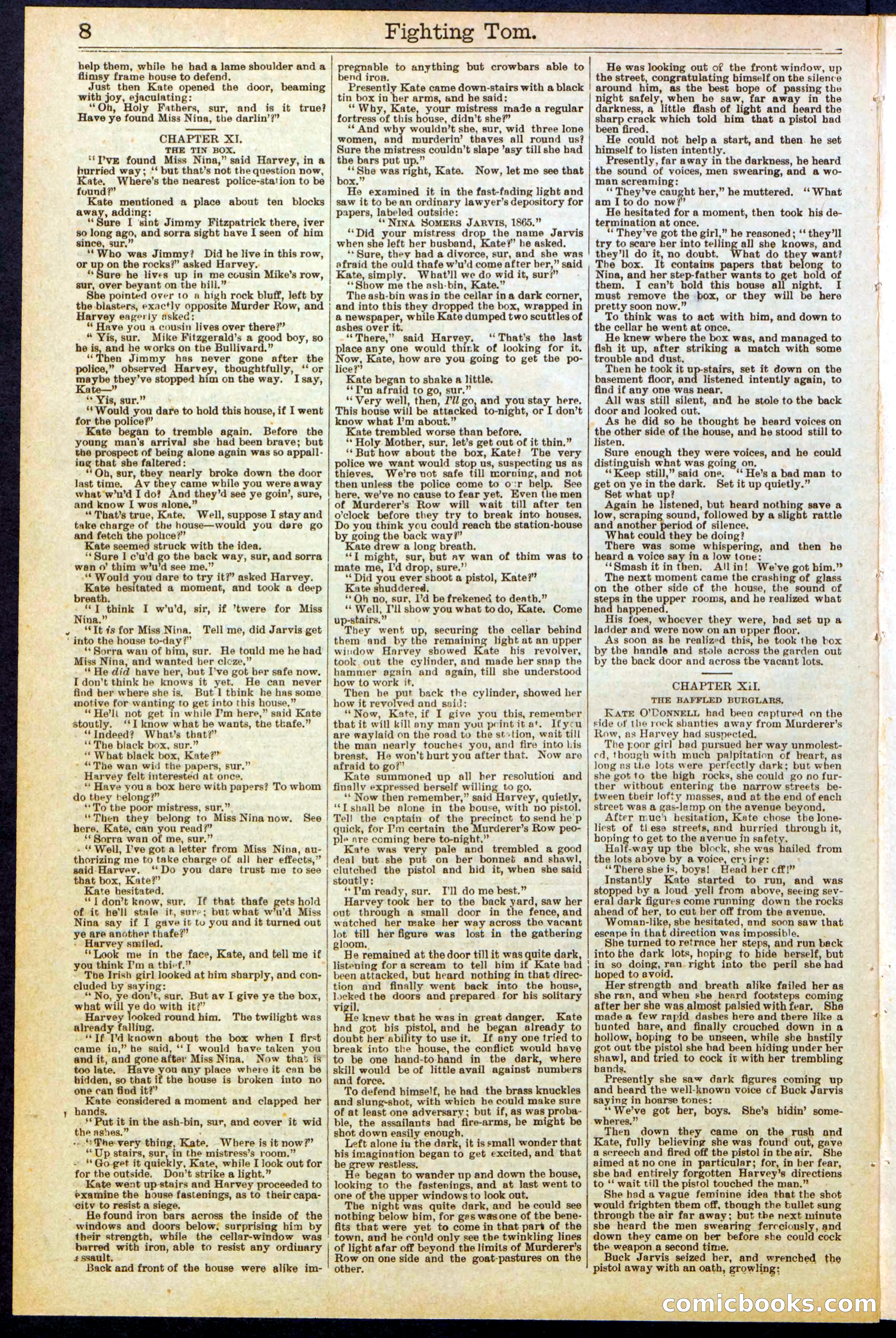 Beadle's New York Dime Library No. 262 — page 8 of 32